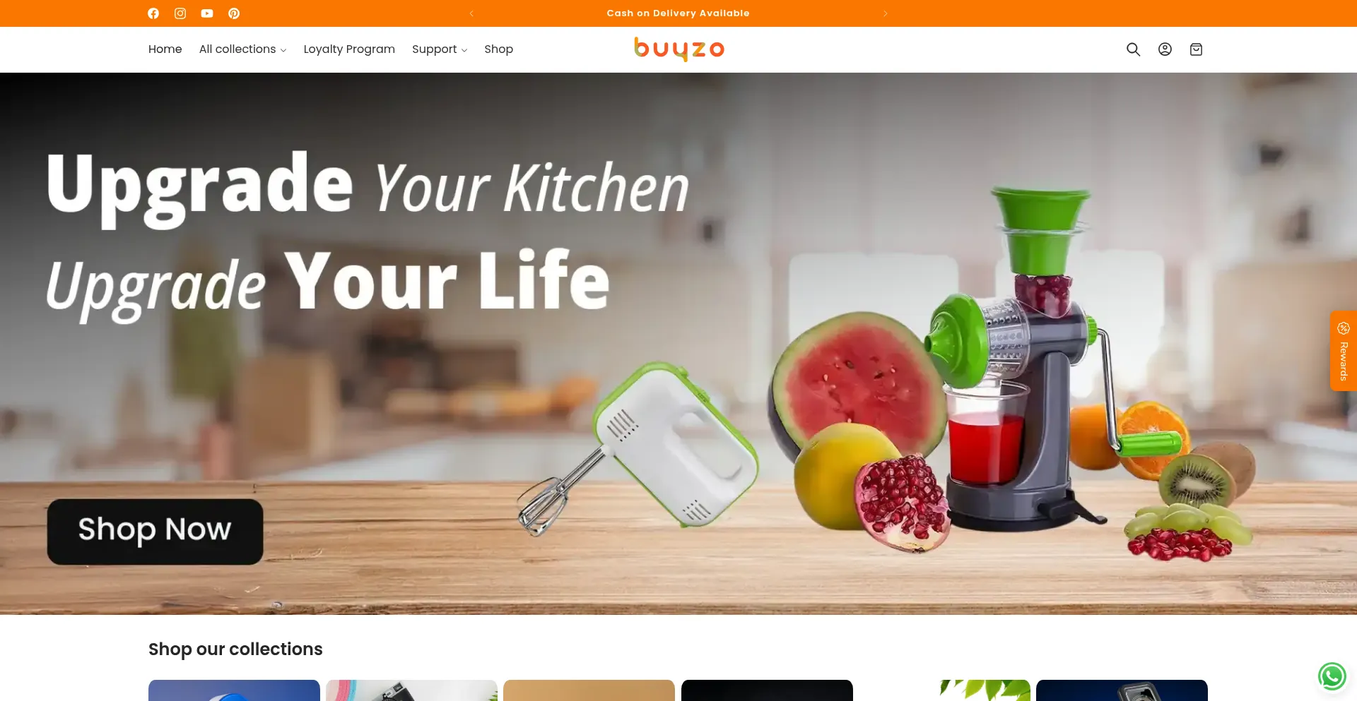 Buyzo.in é Seguro e Confiável?