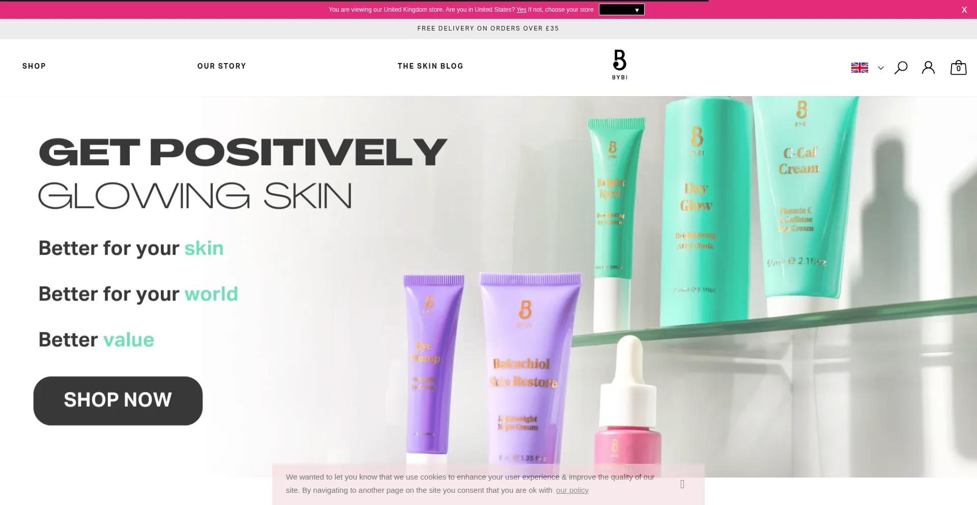 Website screenshot of Bybi.com