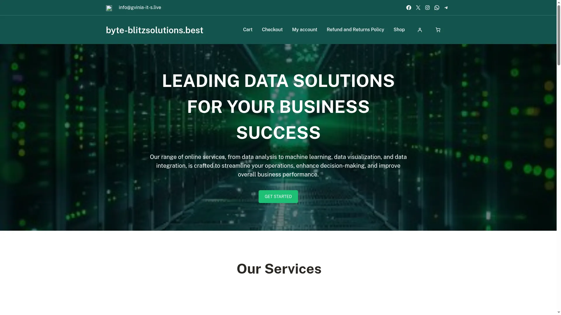Byte-blitzsolutions.best