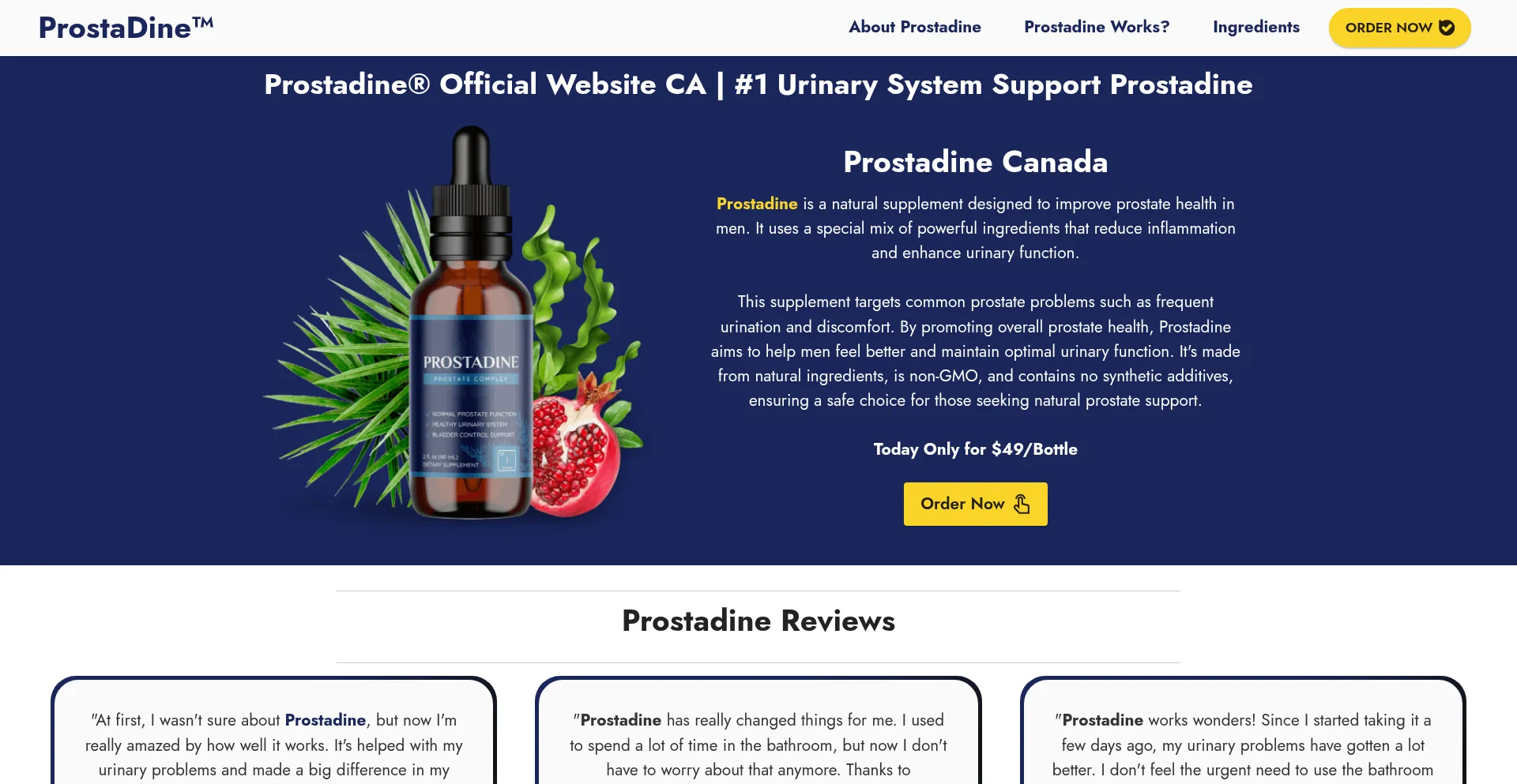 Website screenshot of Ca-ca-prostadine.ca