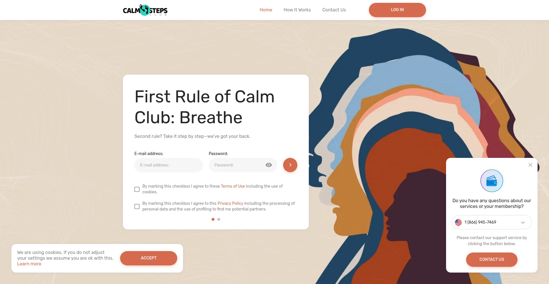 Website screenshot of Calmstepsclub.com