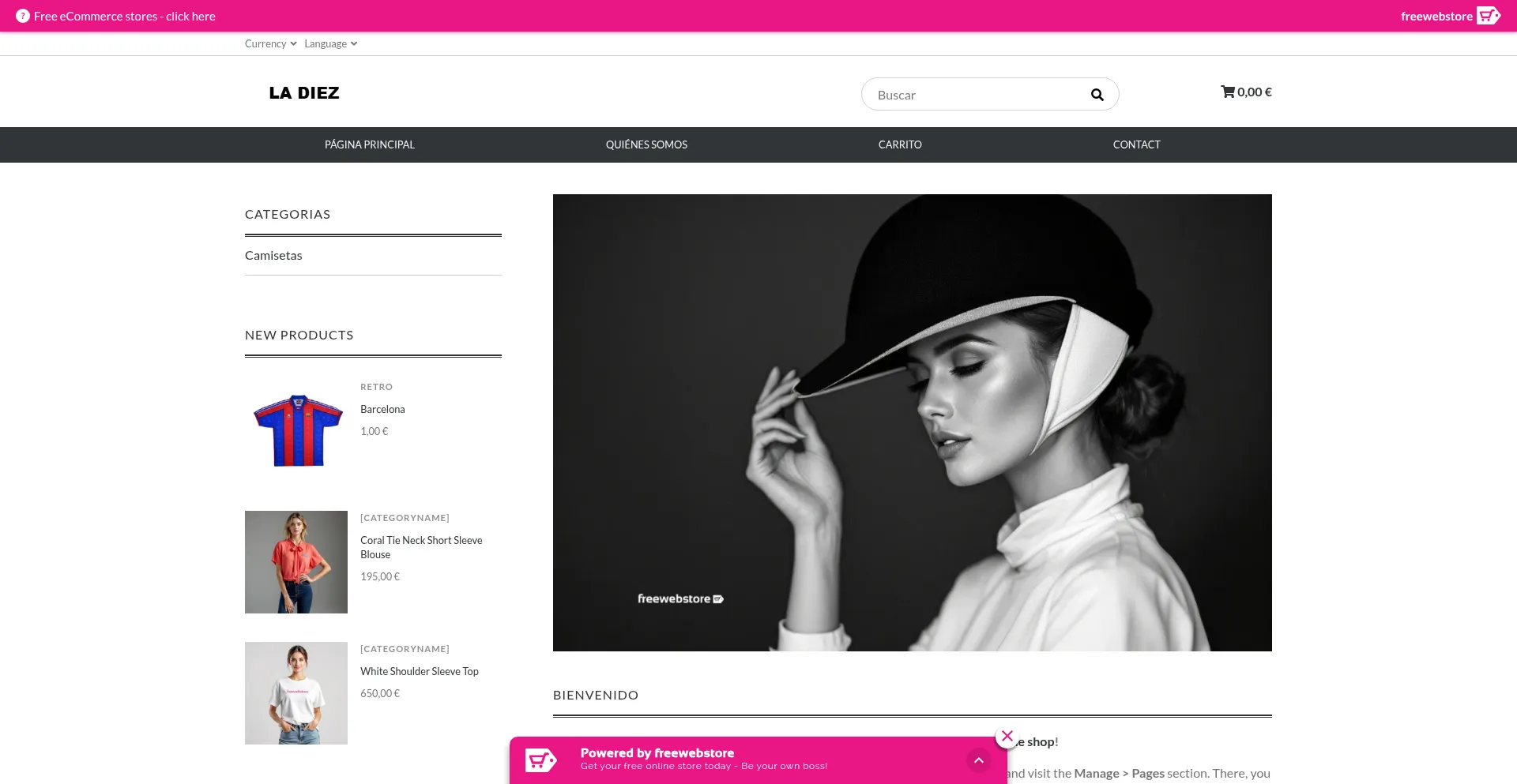 Camisetasladiez.my-online.store