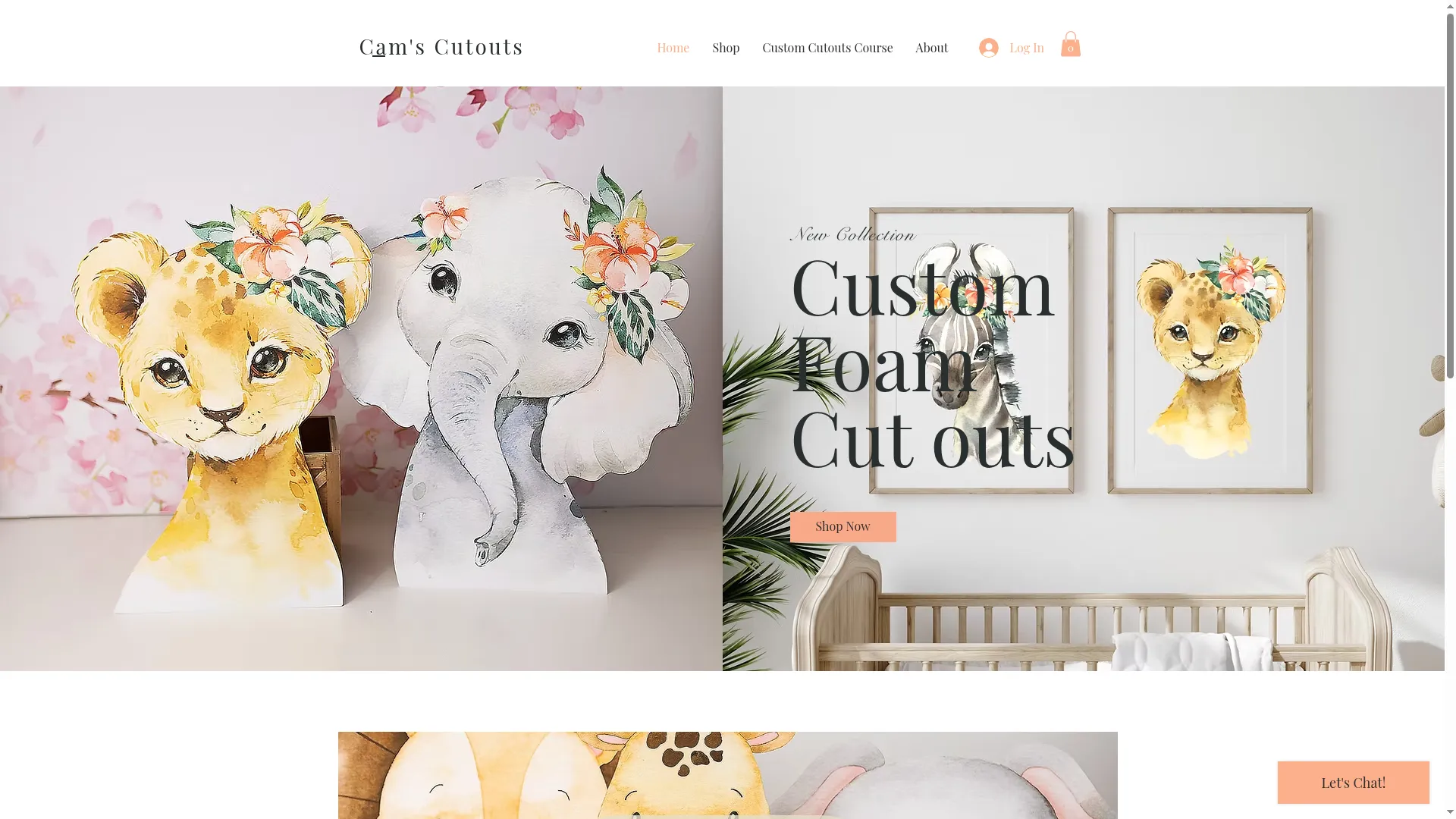Camscutouts.com
