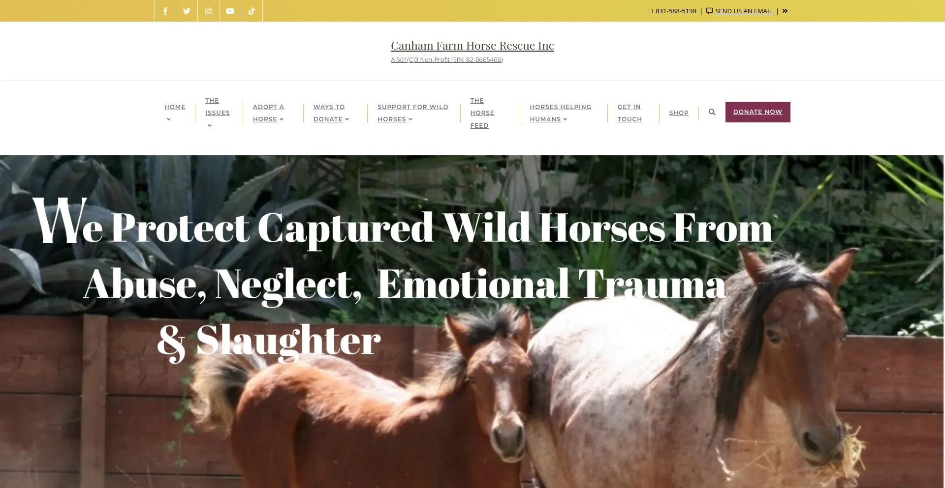 Canhamfarm.com é Seguro e Confiável?