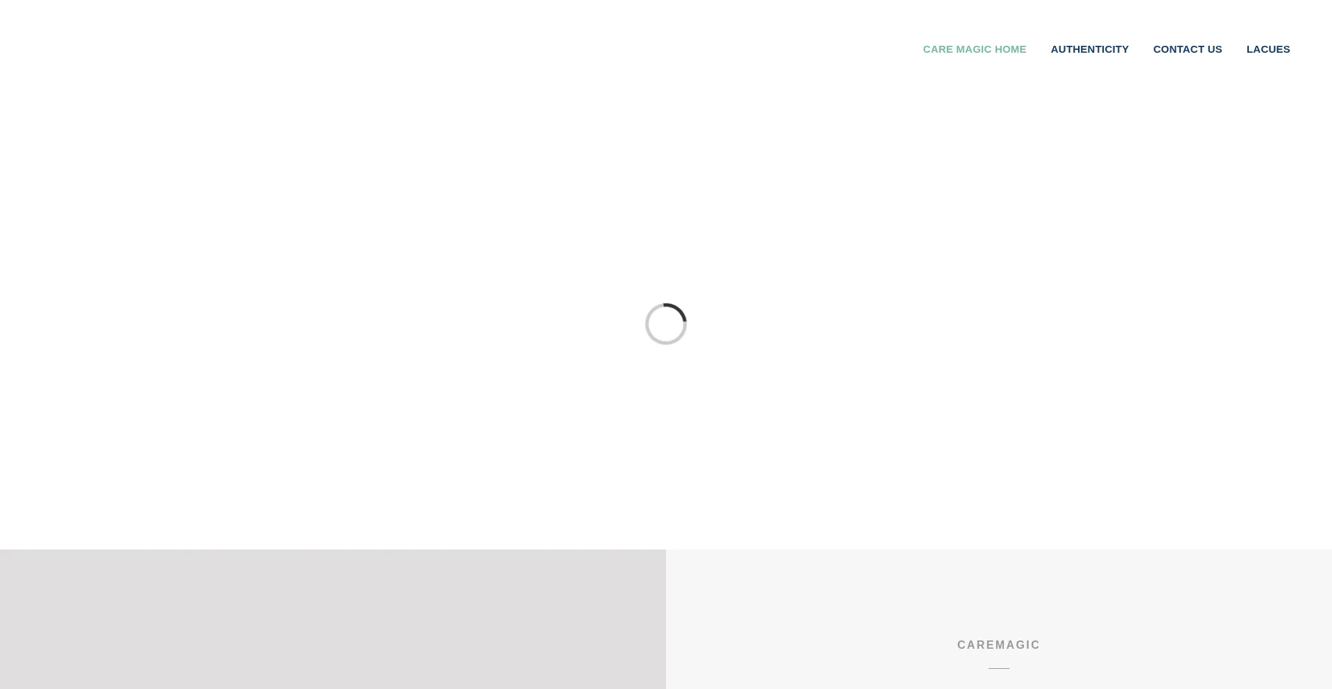 Website screenshot of Caremagic.co.nz