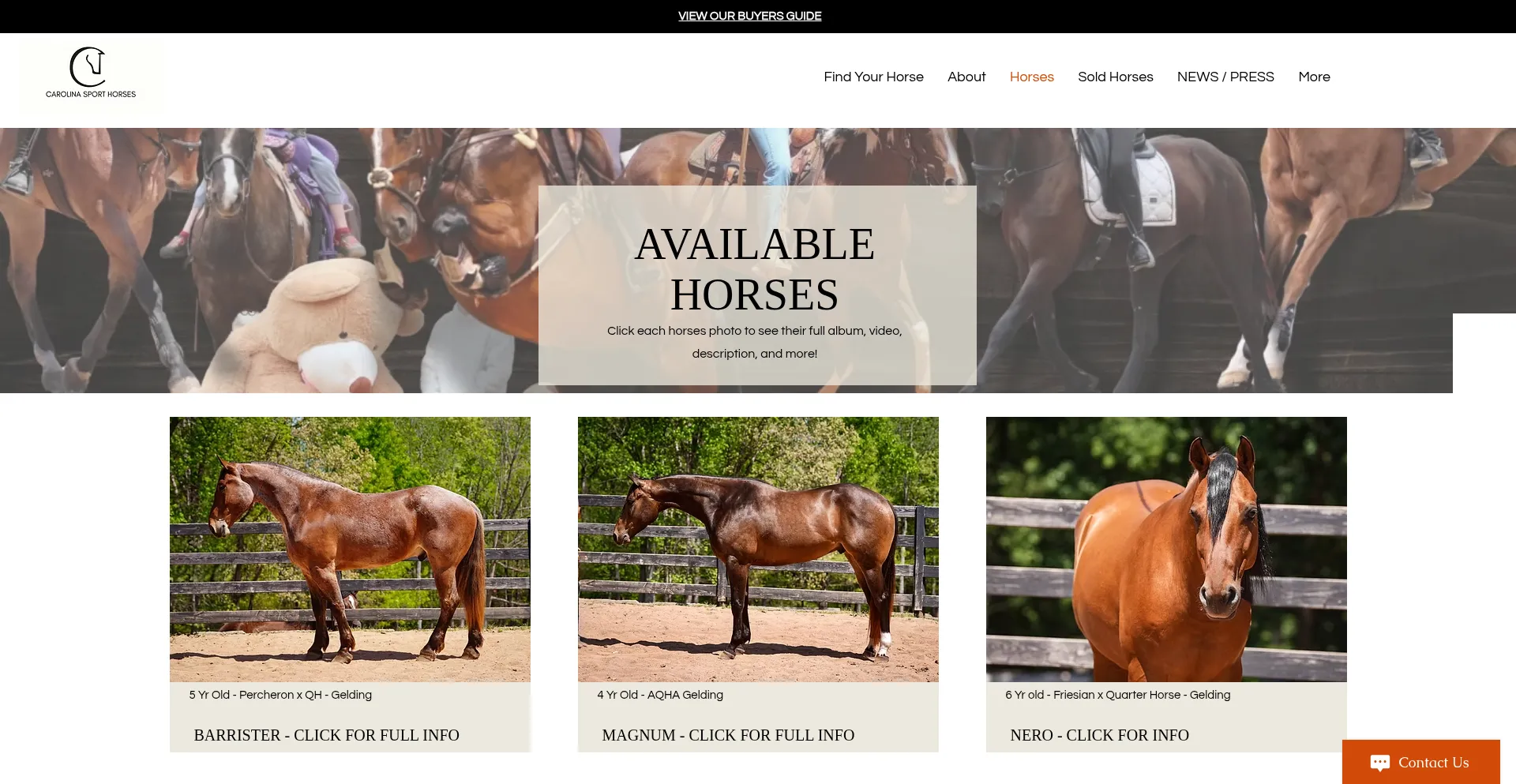 Carolinasporthorses.net