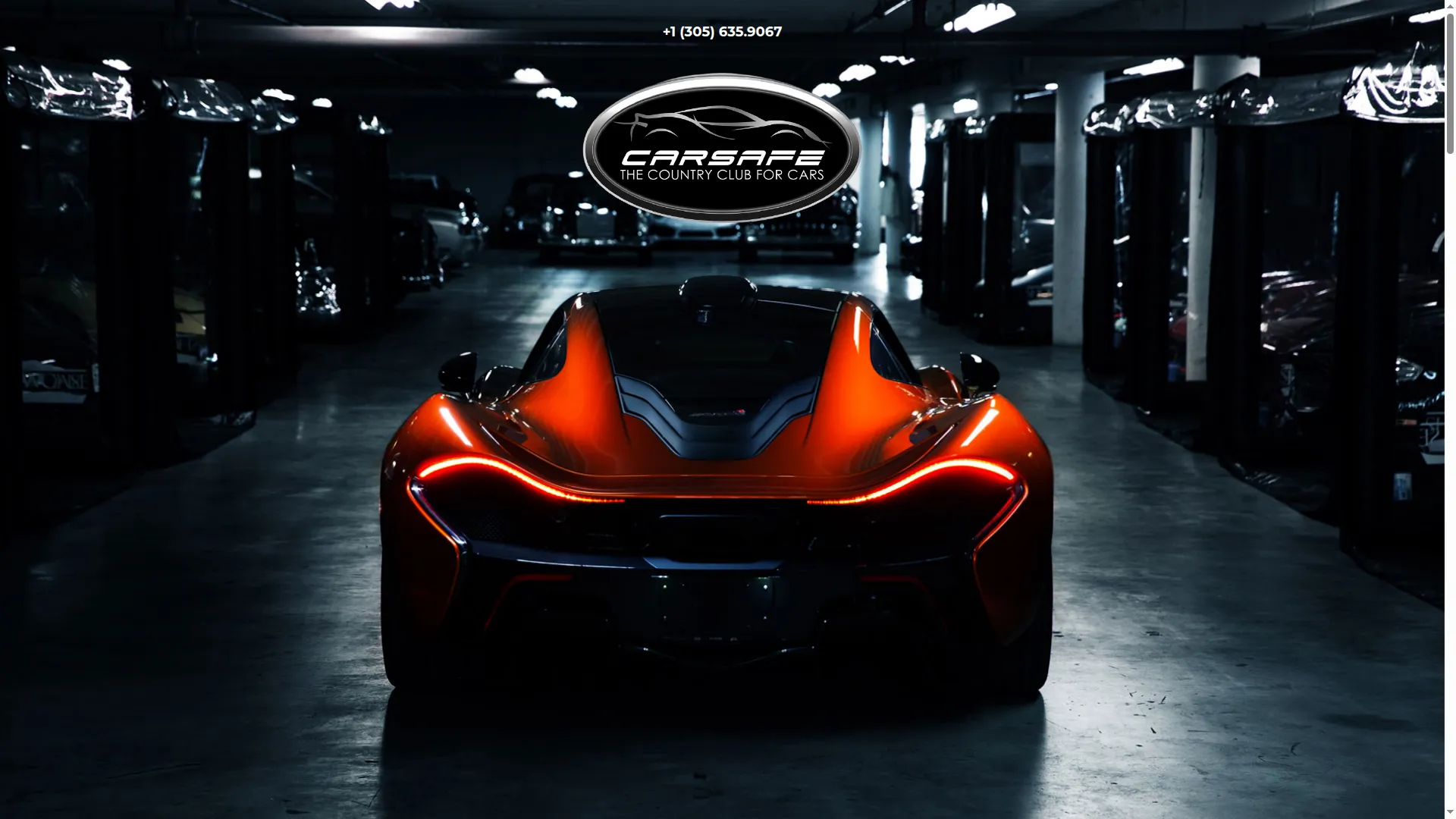 Carsafestorage.com
