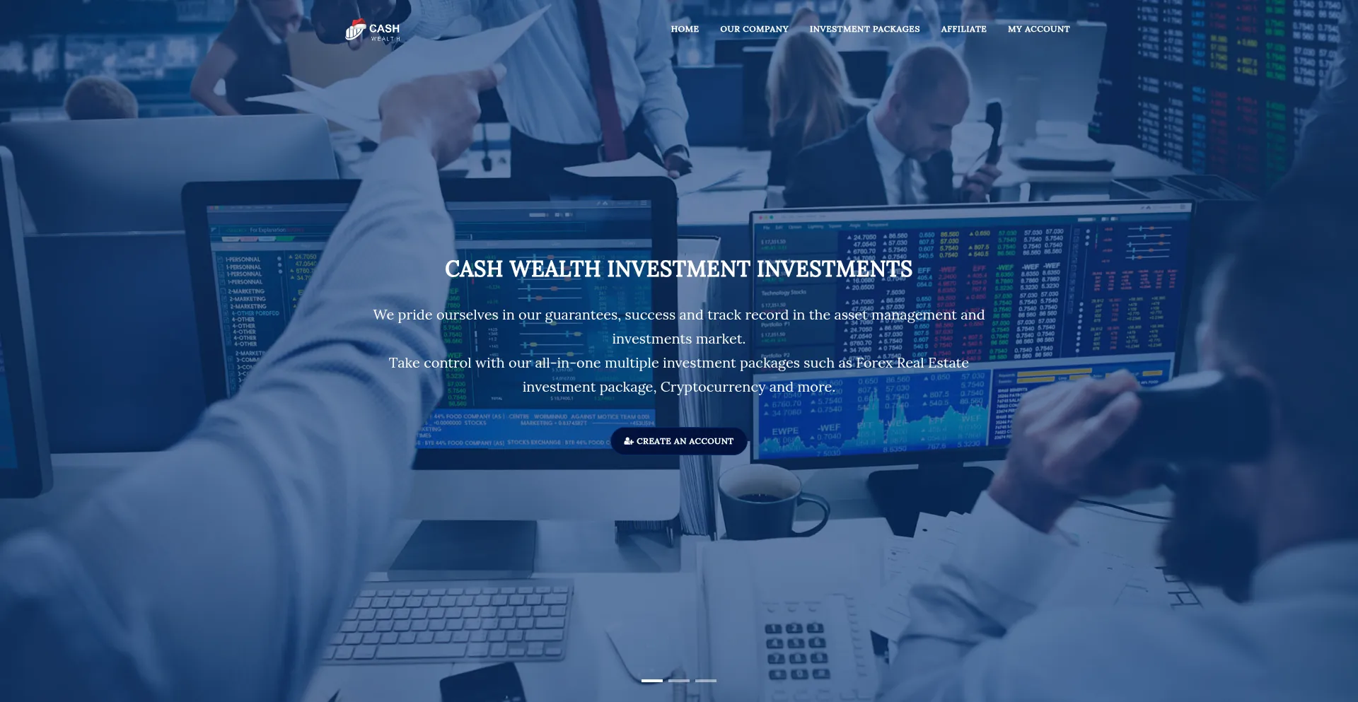 Website screenshot of Cashwealthinvestment.com