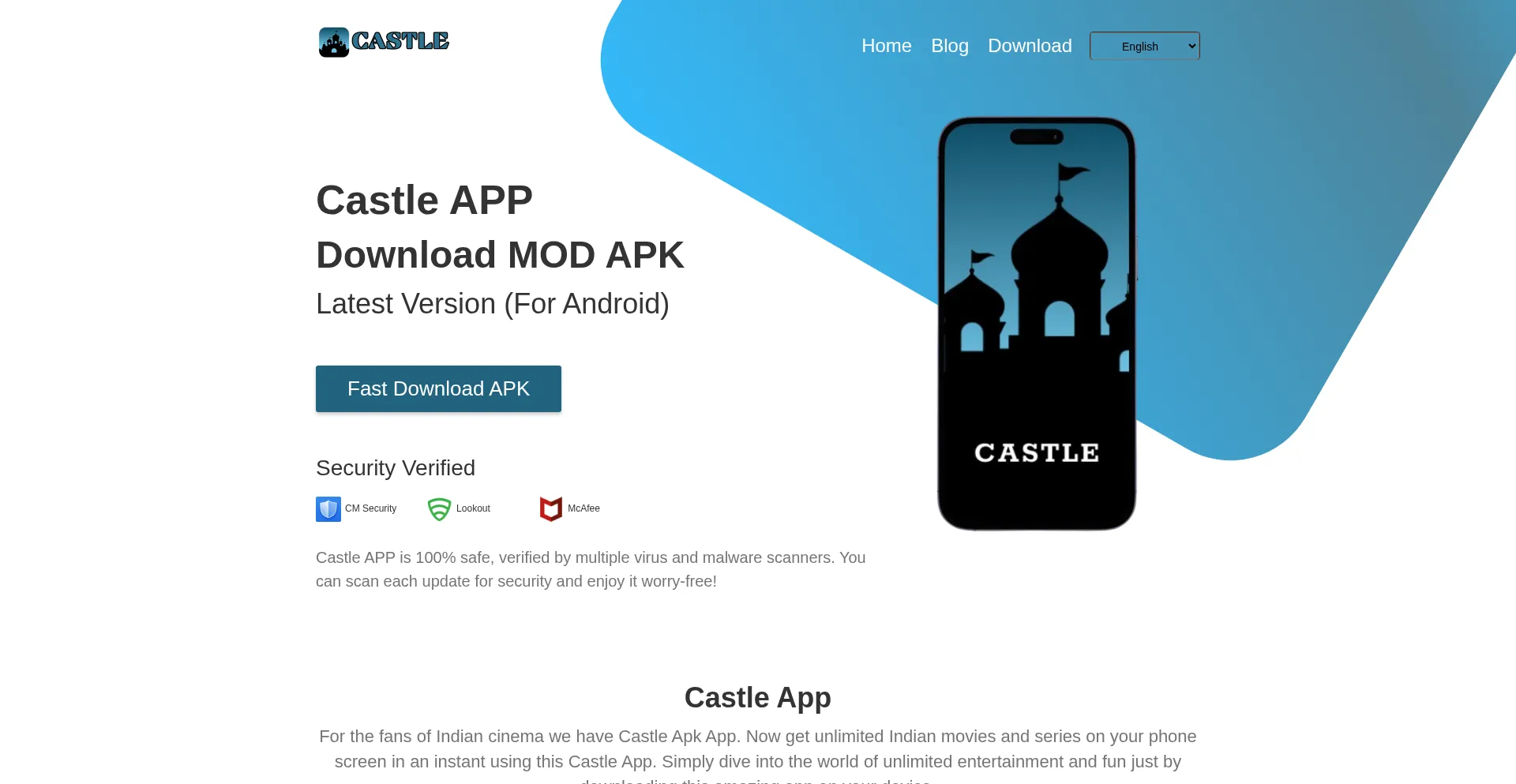Website screenshot of Castleapp.pk