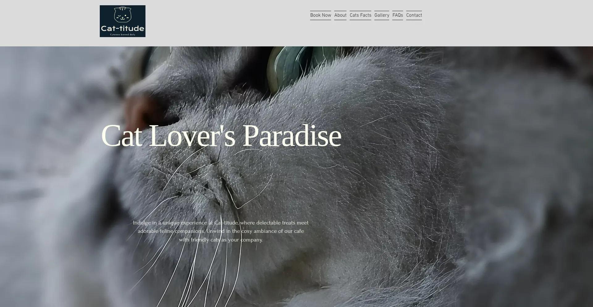 Cat-titude.co.uk é Seguro e Confiável?