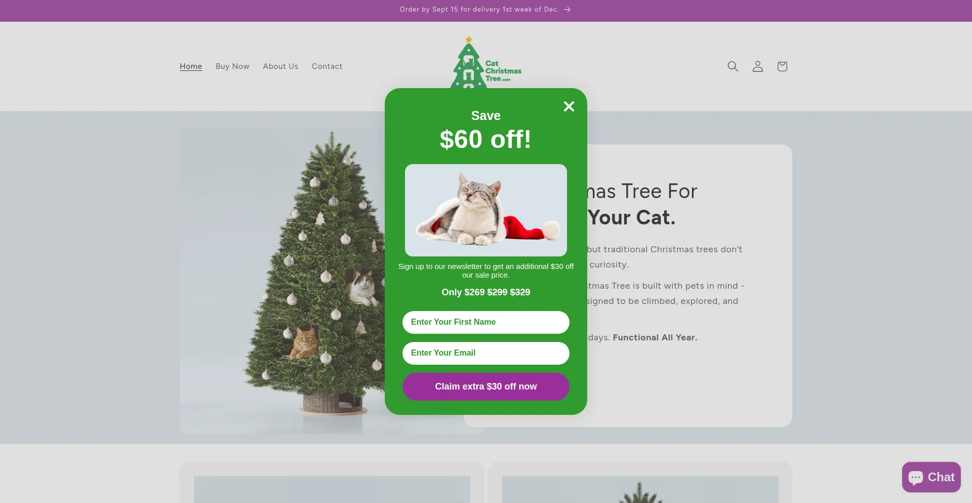 Website screenshot of Catchristmastree.com