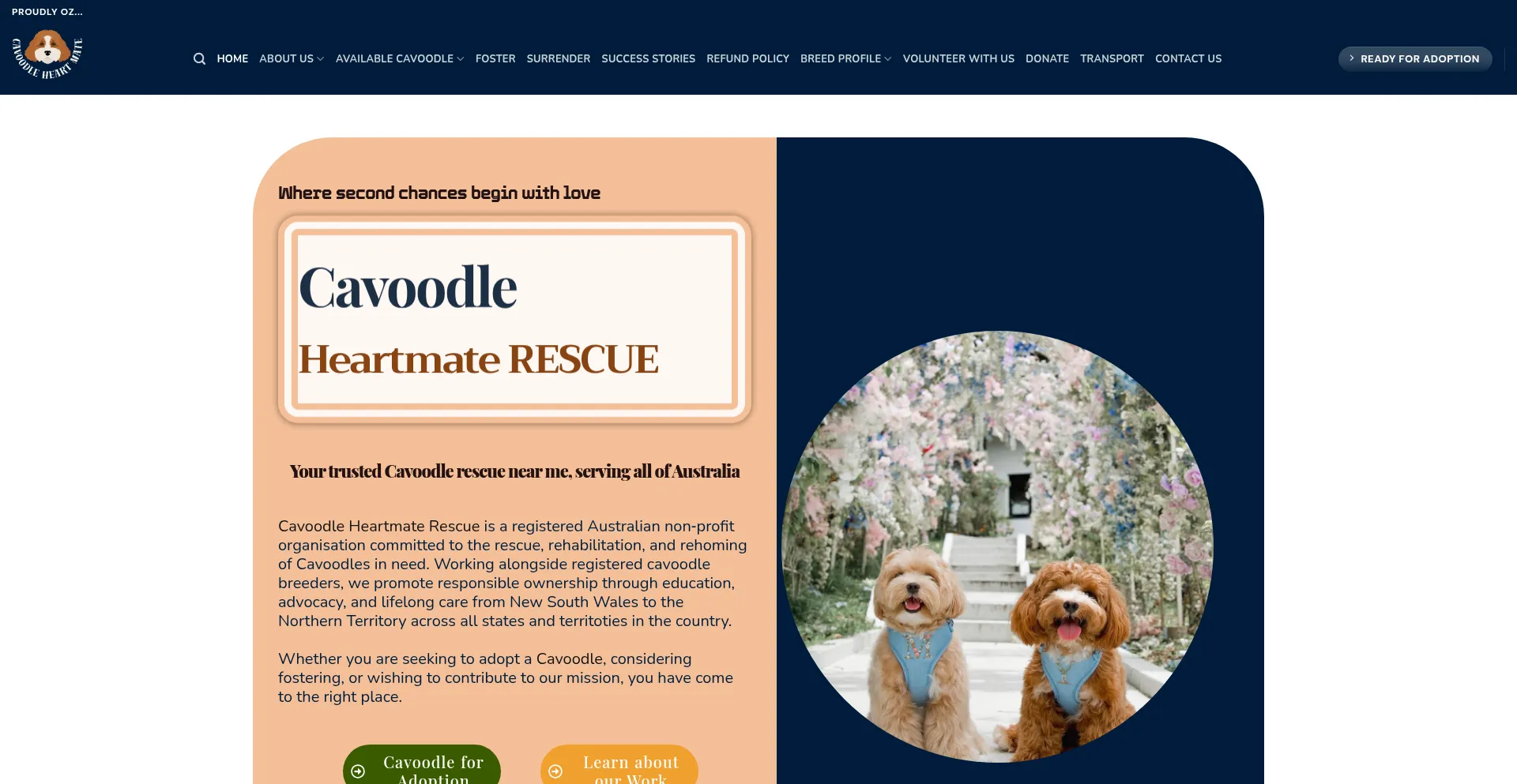 Cavoodleheartmate.com