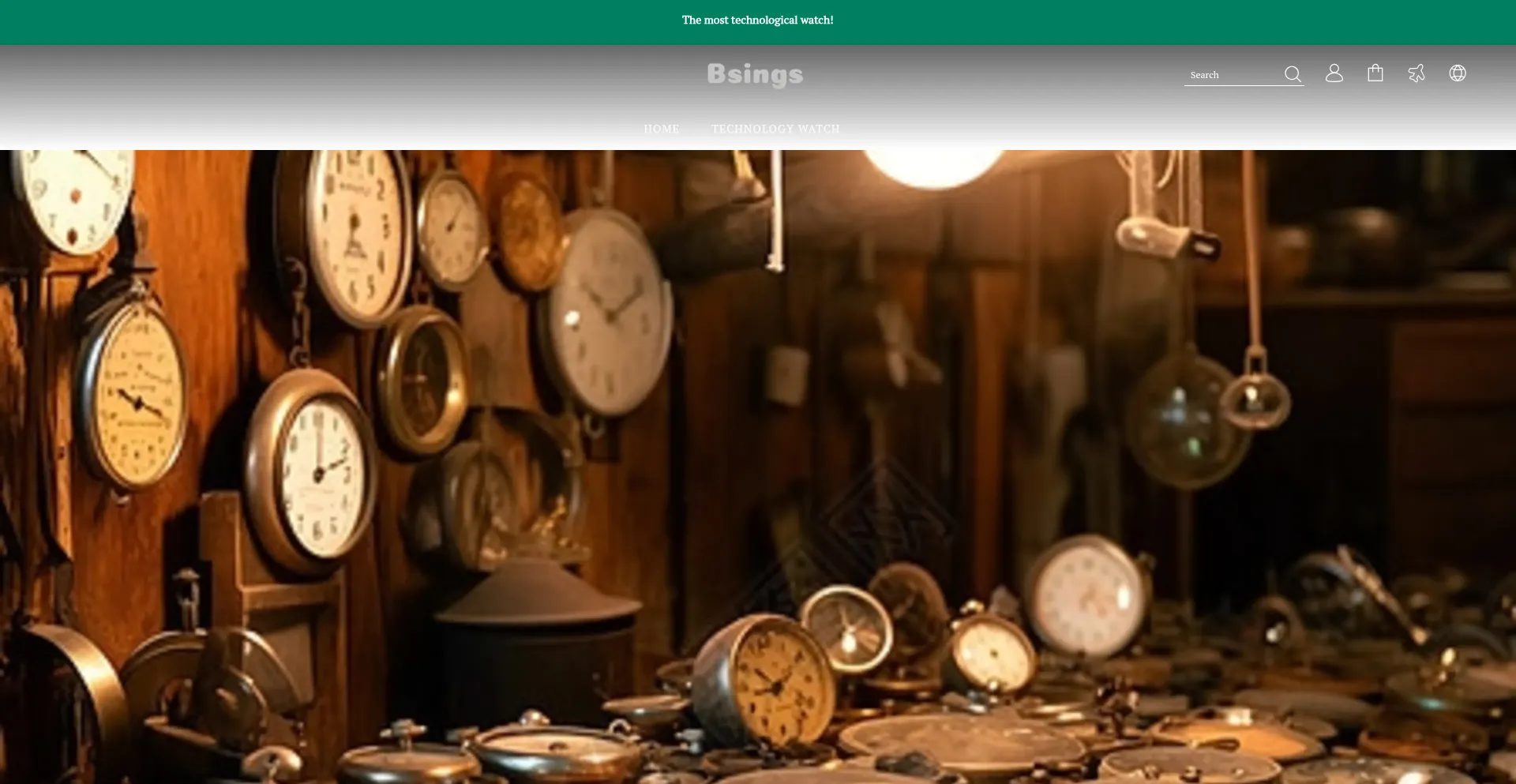 Website screenshot of Ccswatch.com