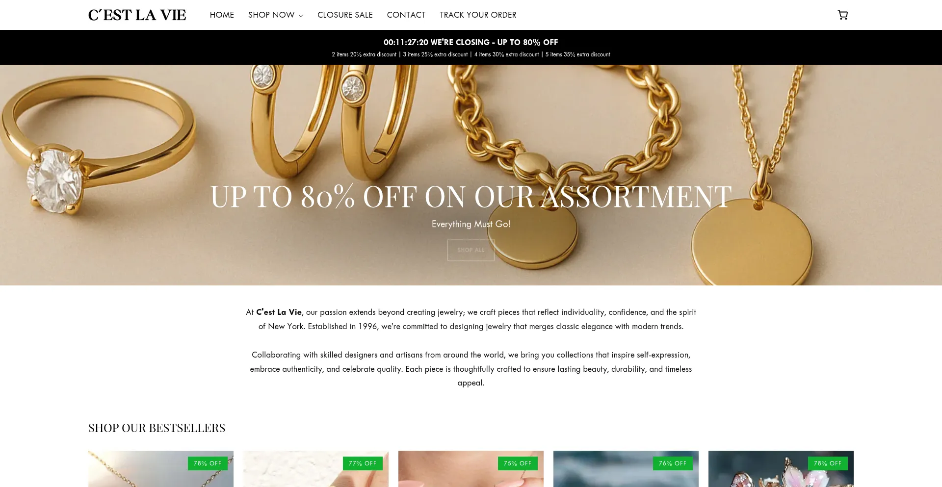 Website screenshot of Cestlavie-newyork.com