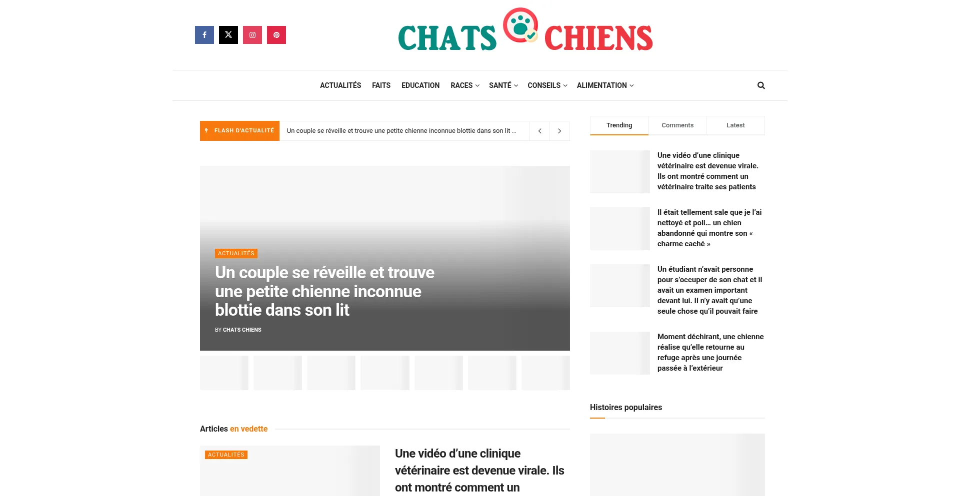 Chatschiens.com