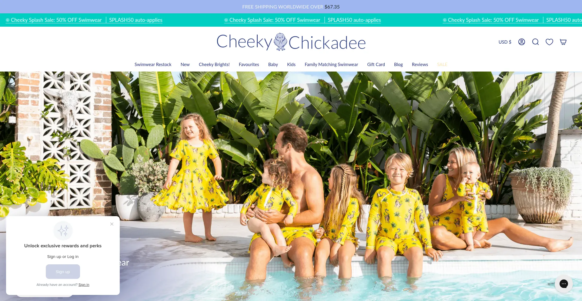 Cheekychickadeestore.com é Seguro e Confiável?