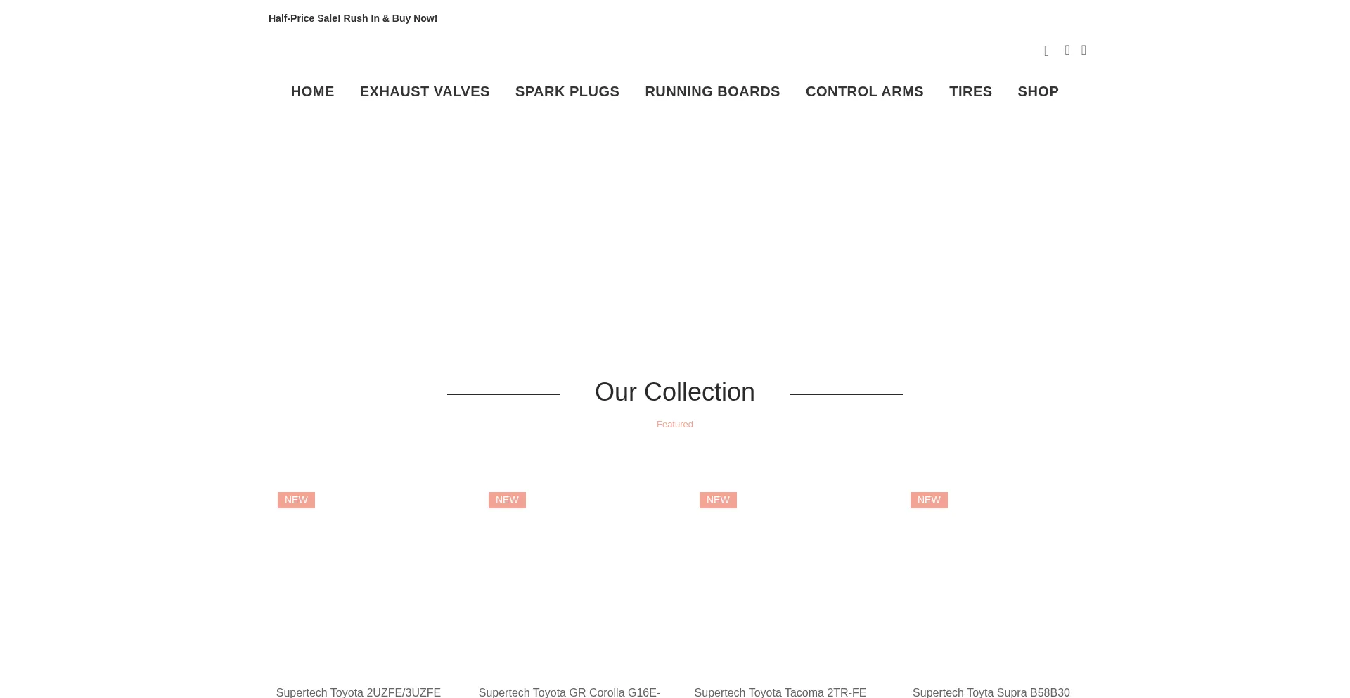 Website screenshot of Chicarvalve.com