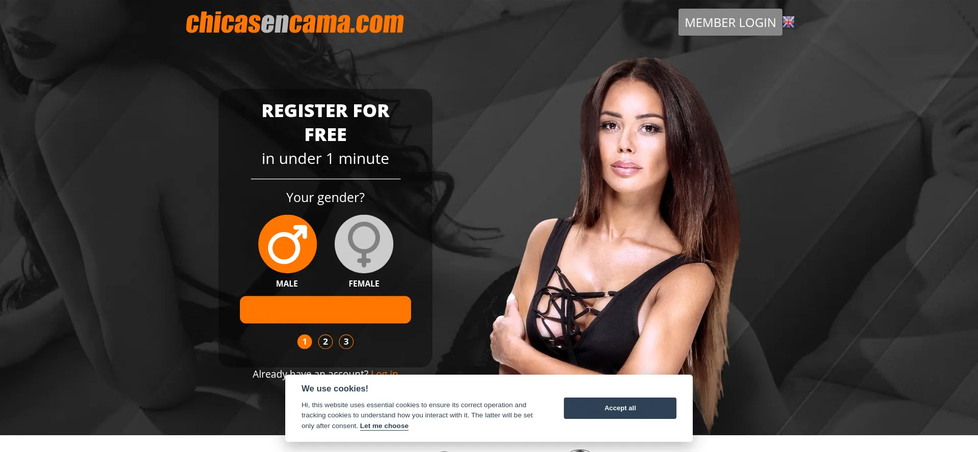 Chicasencama.com é Seguro e Confiável?