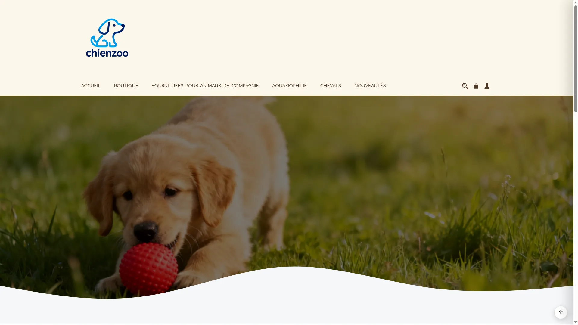 Chienzoo.com