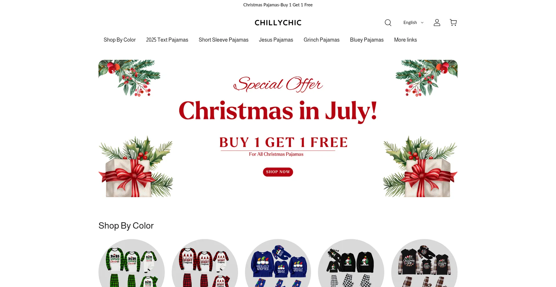 Website screenshot of Chillychic.com
