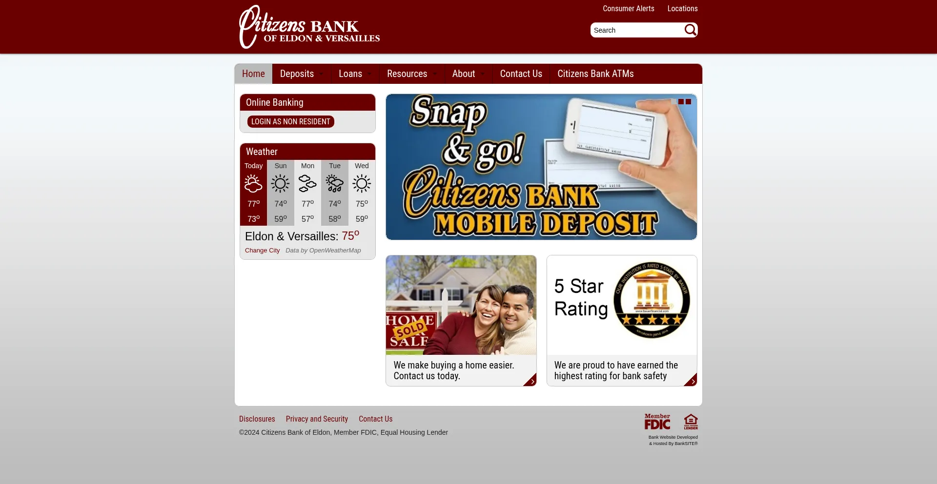 Website screenshot of Citizeldon.com