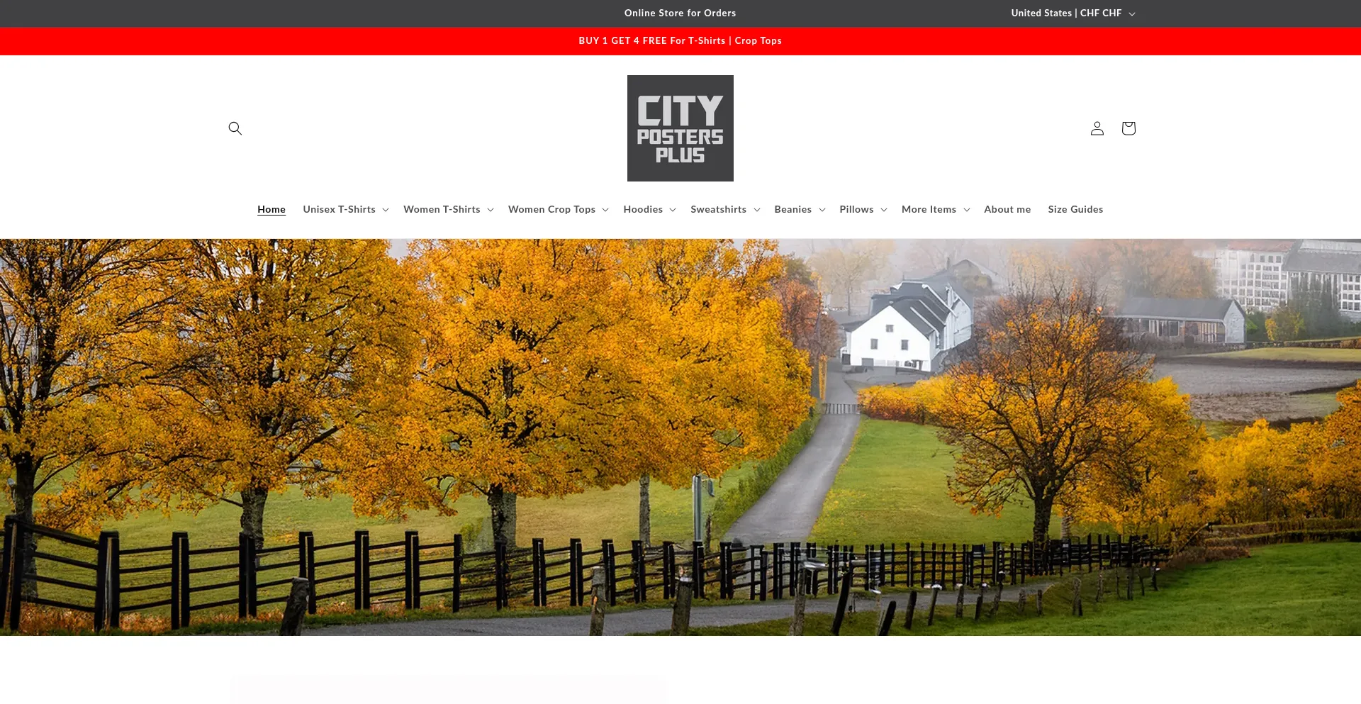 Website screenshot of Citypostersplus.com