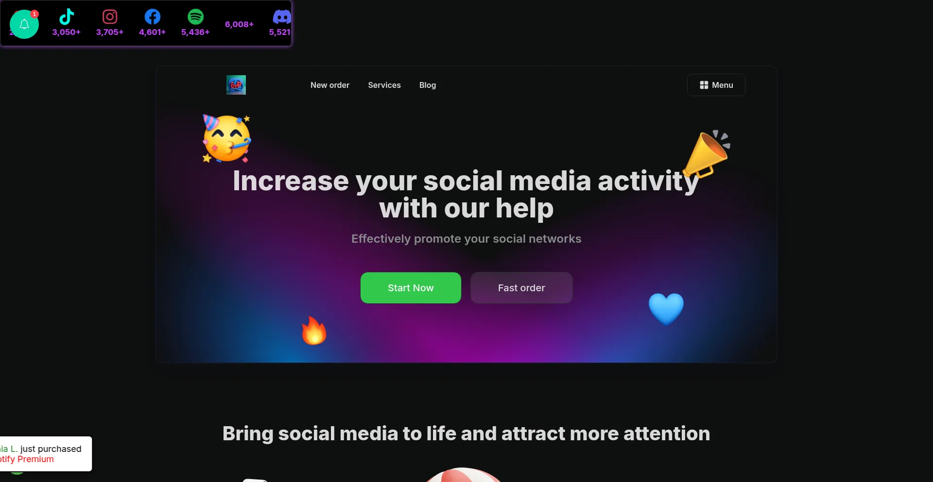 Website screenshot of Cleantickpanel.store