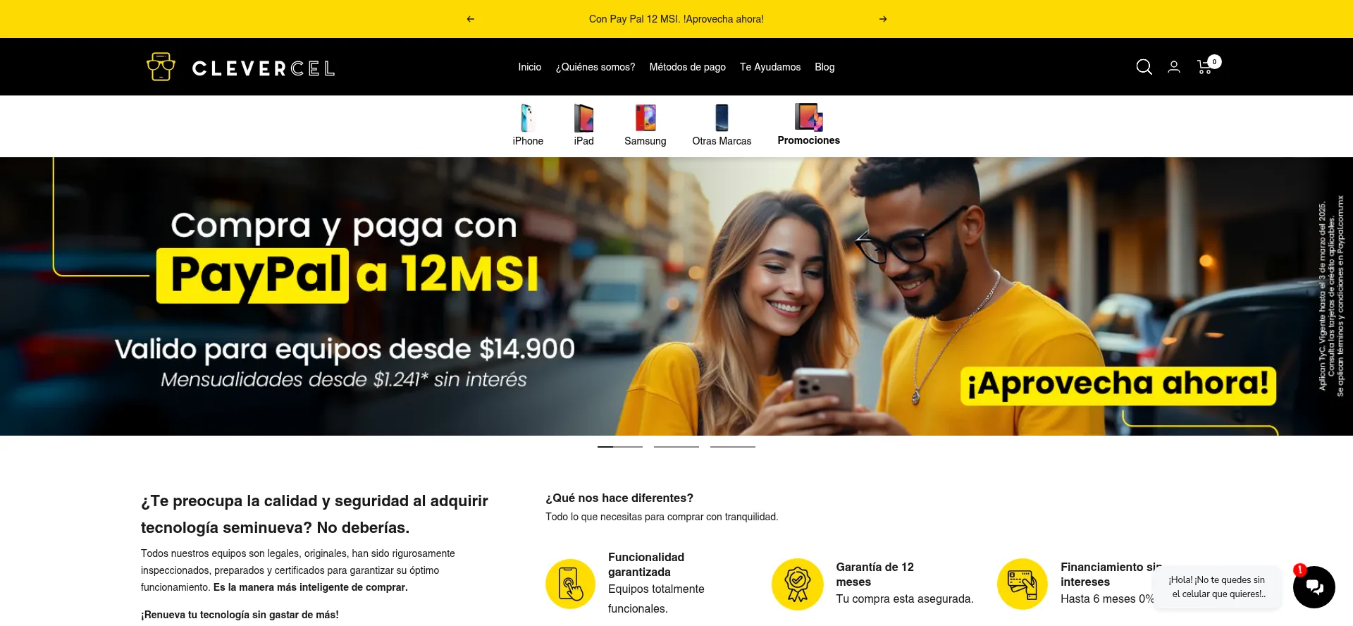 Website screenshot of Clevercel.mx