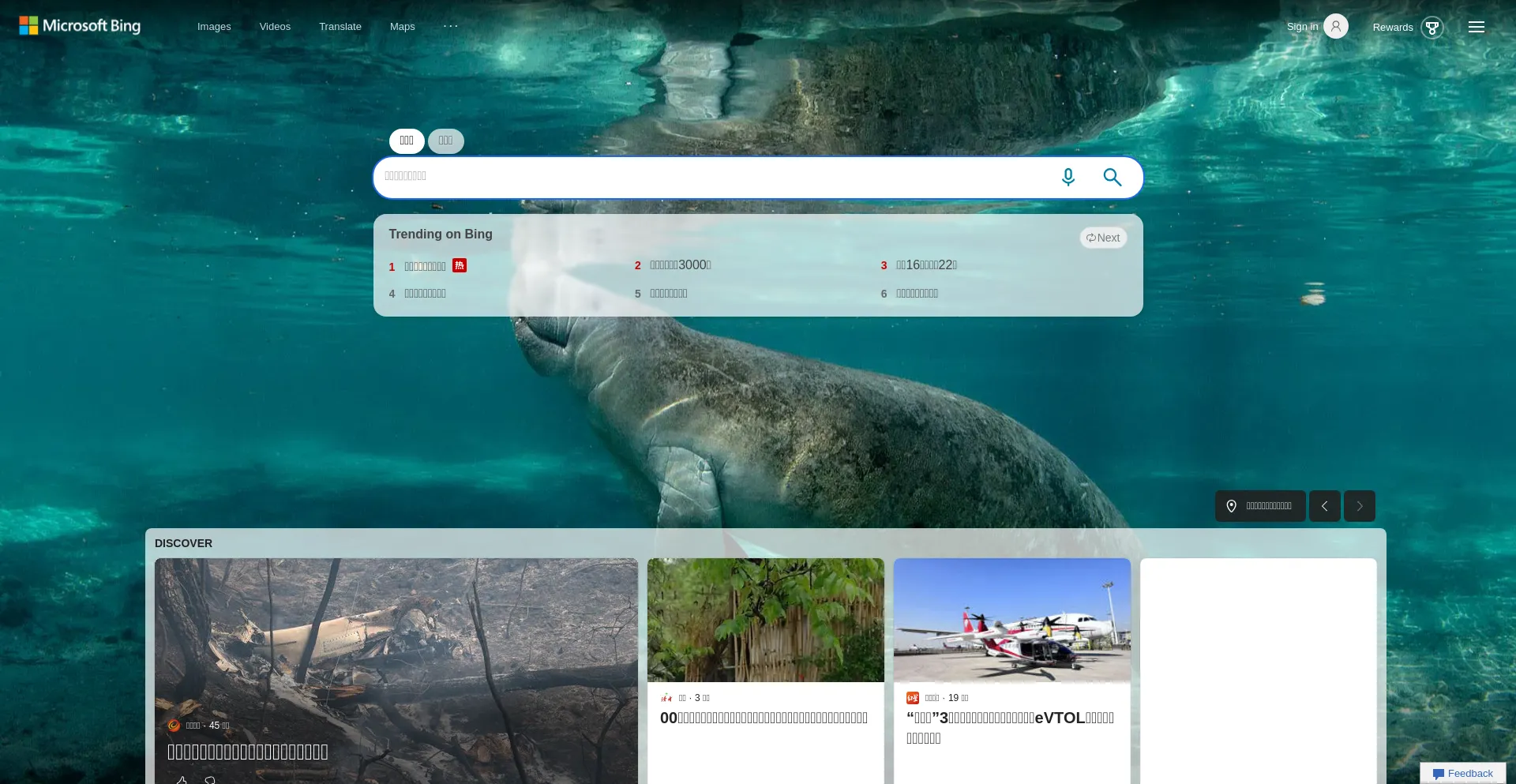 Website screenshot of Cn.bing.com