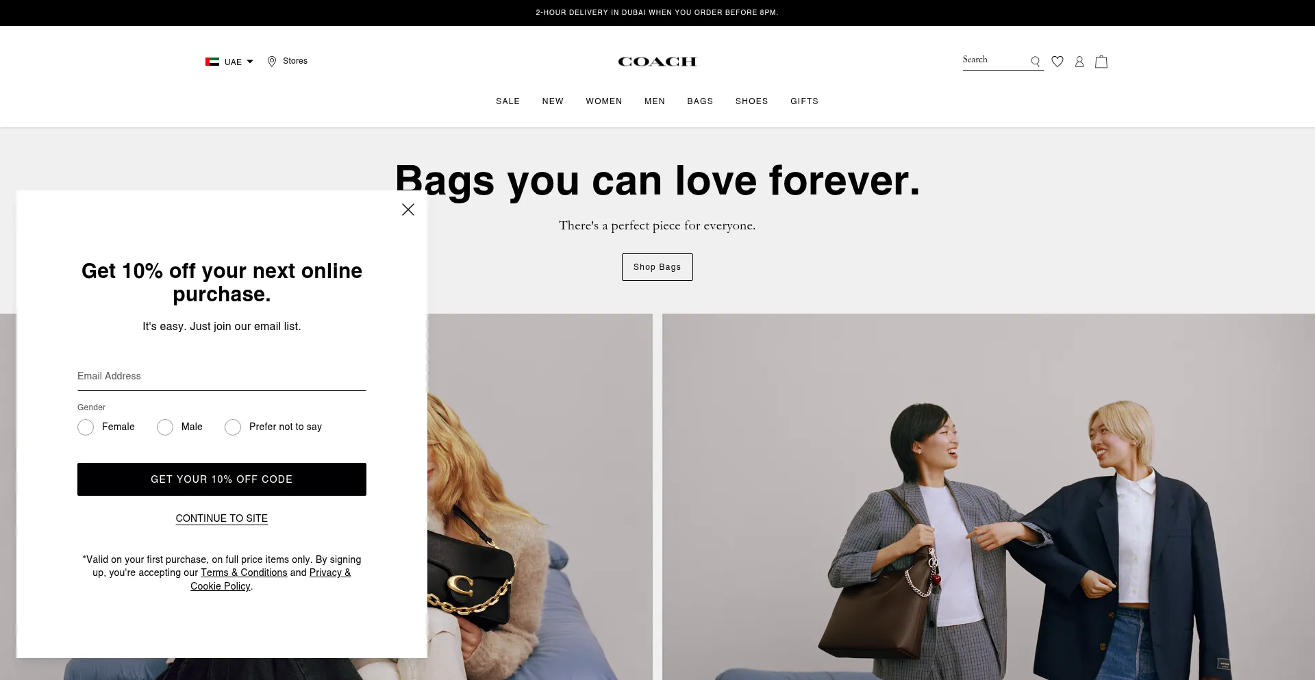 Website screenshot of Coach.ae