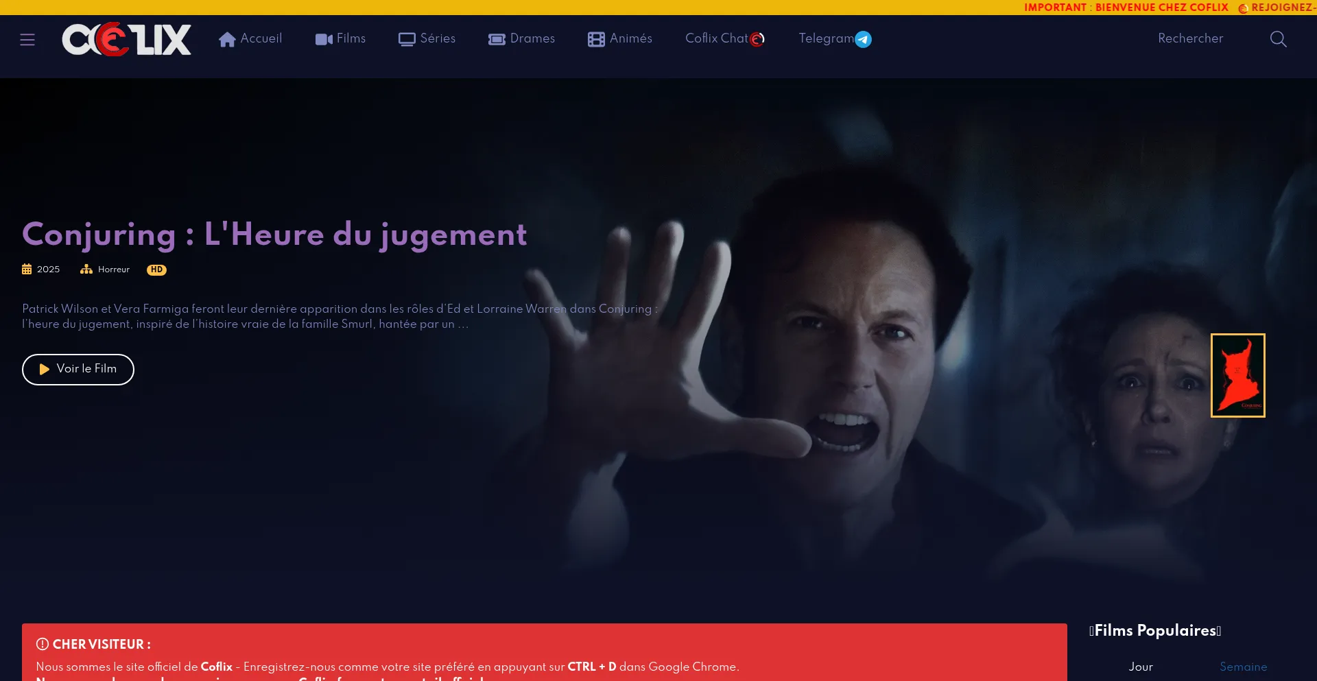 Coflix.tel é Seguro e Confiável?
