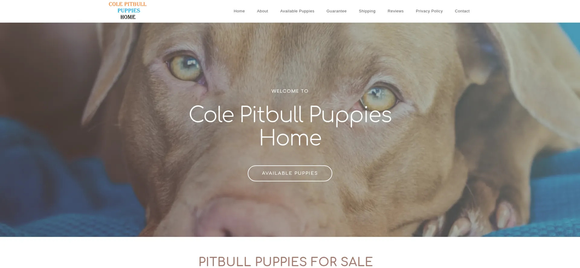 Colepitbullpuppieshome.com