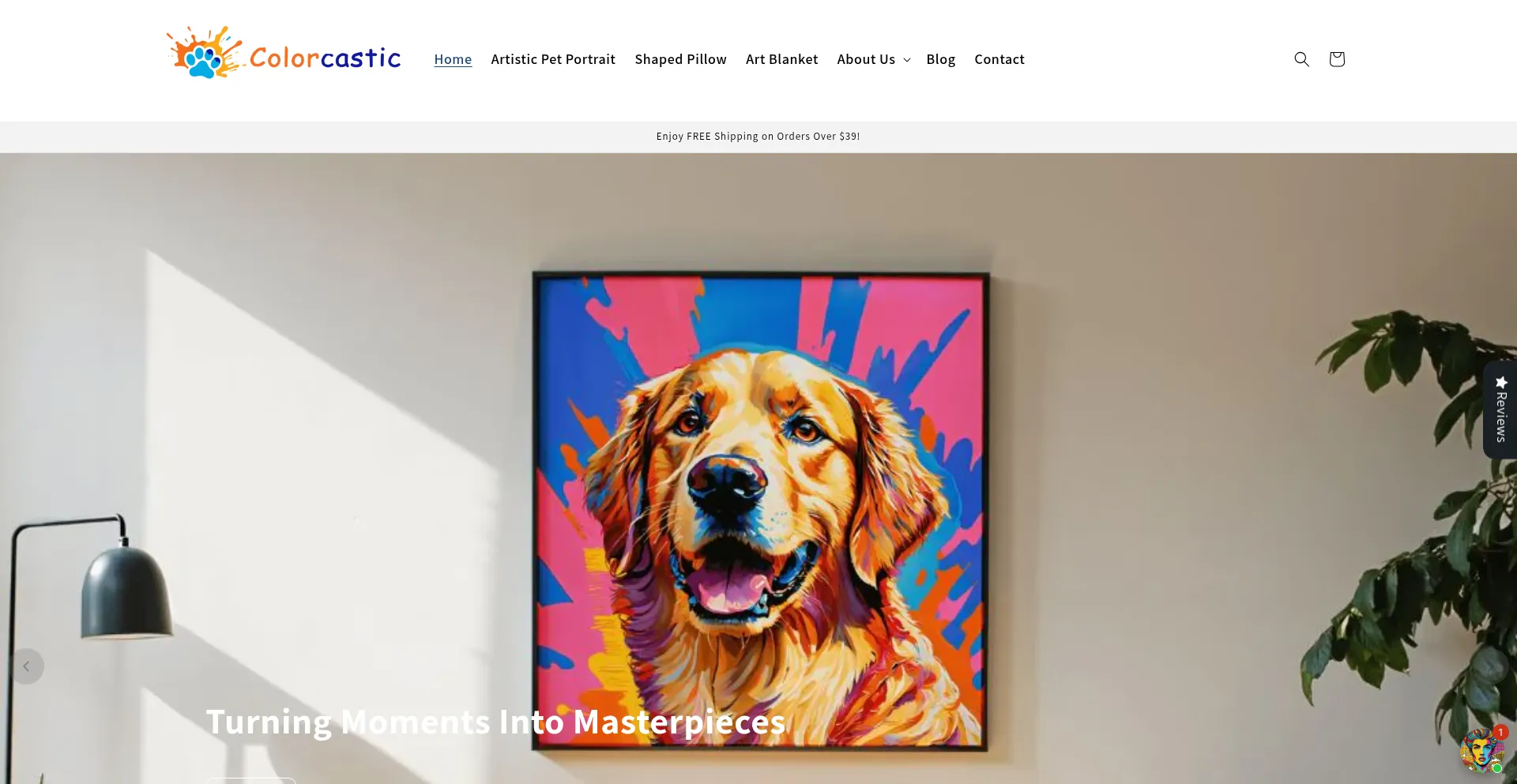 Website screenshot of Colorcastic.com