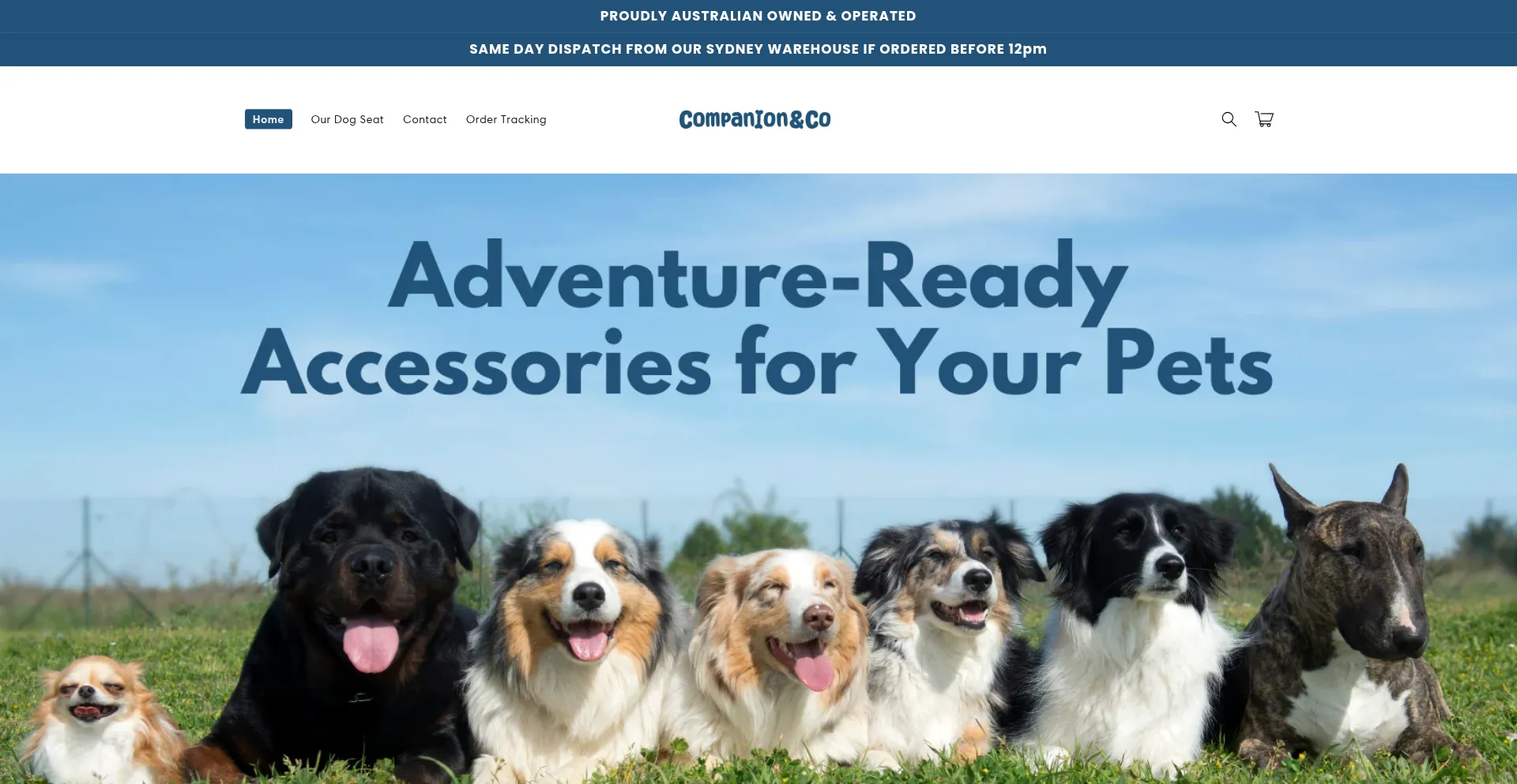 Website screenshot of Companionandco.shop