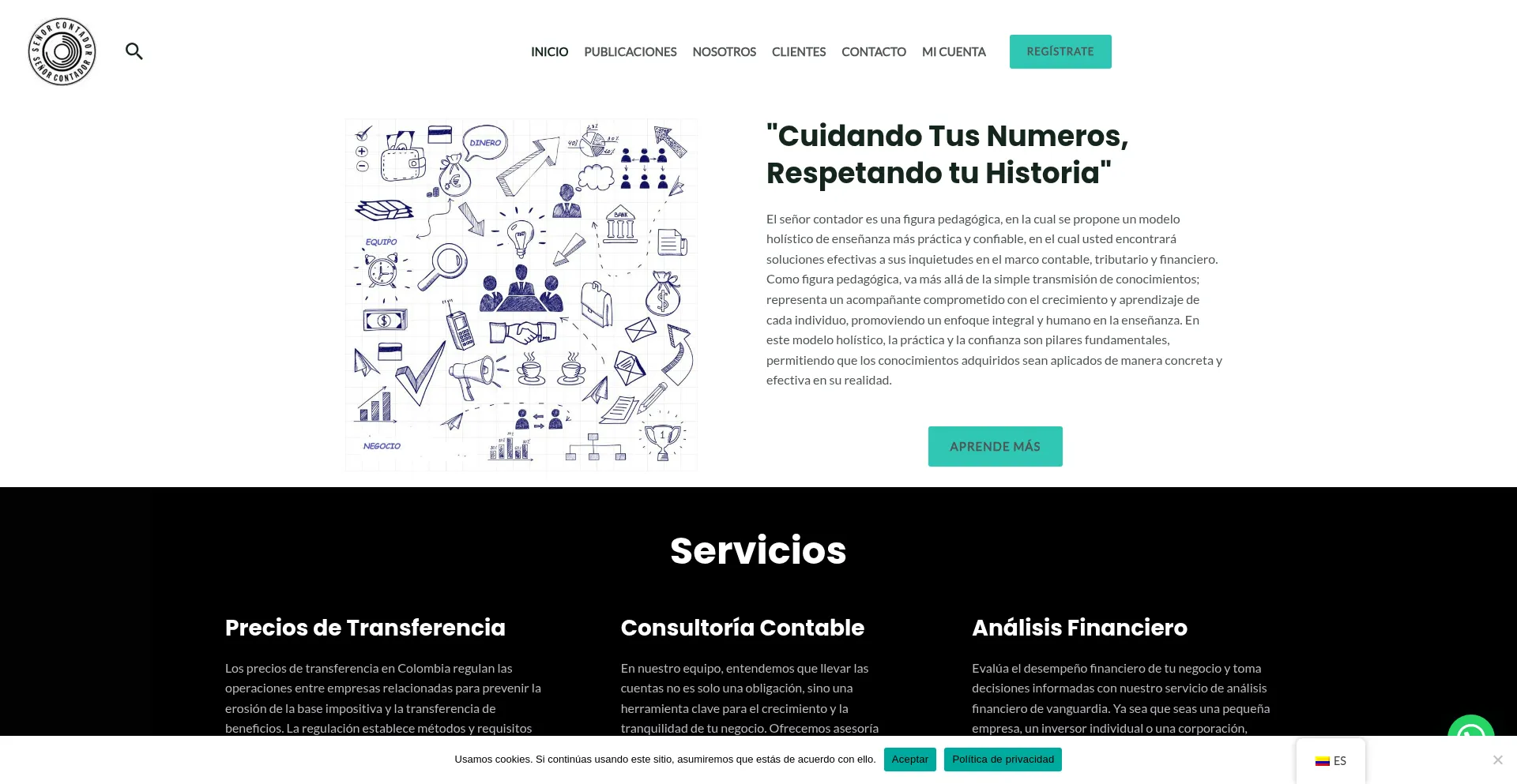 Website screenshot of Contador.net.co