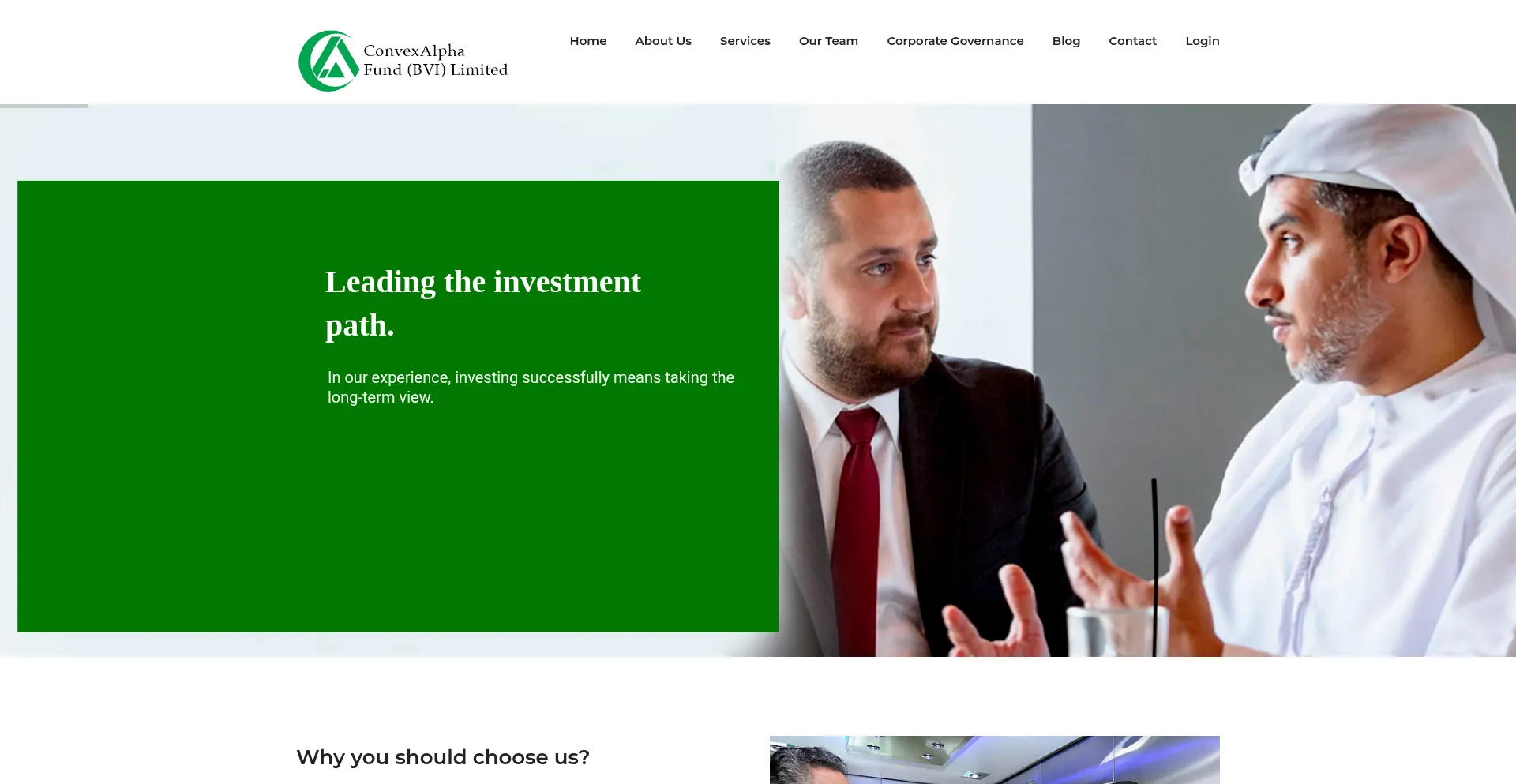 Website screenshot of Convexalphabvi.com