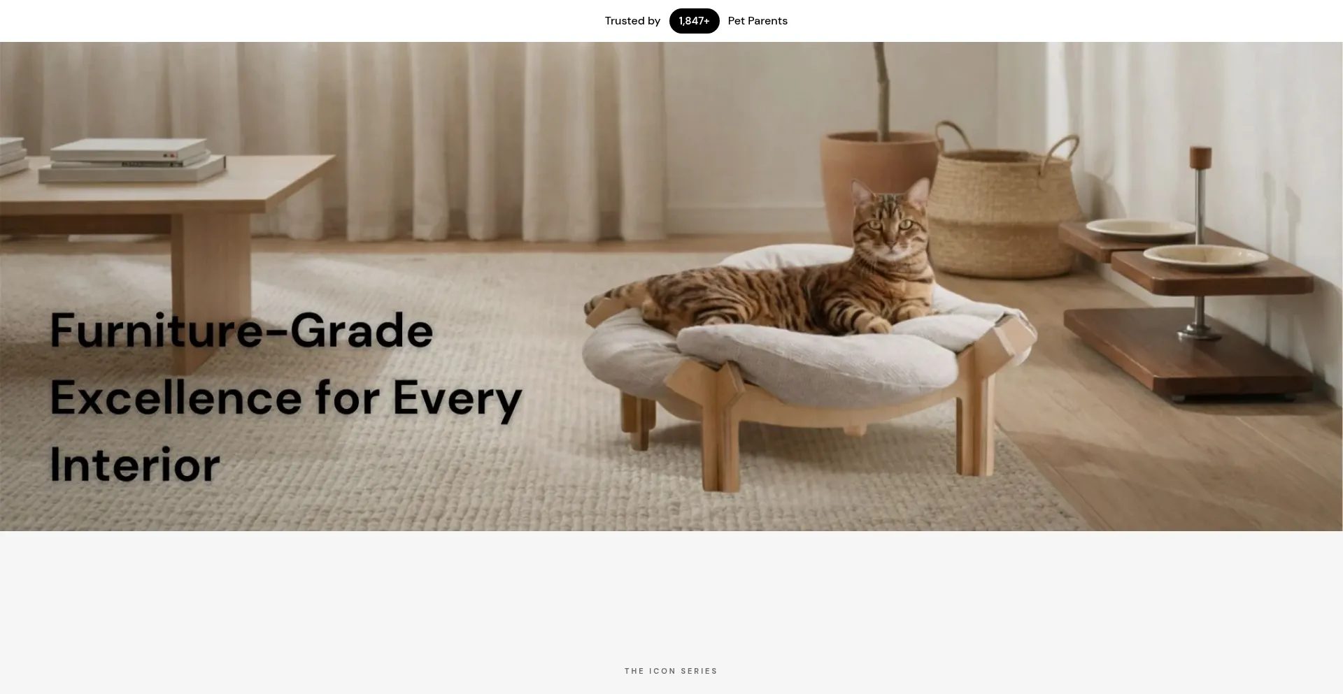 Coolifydesign.co