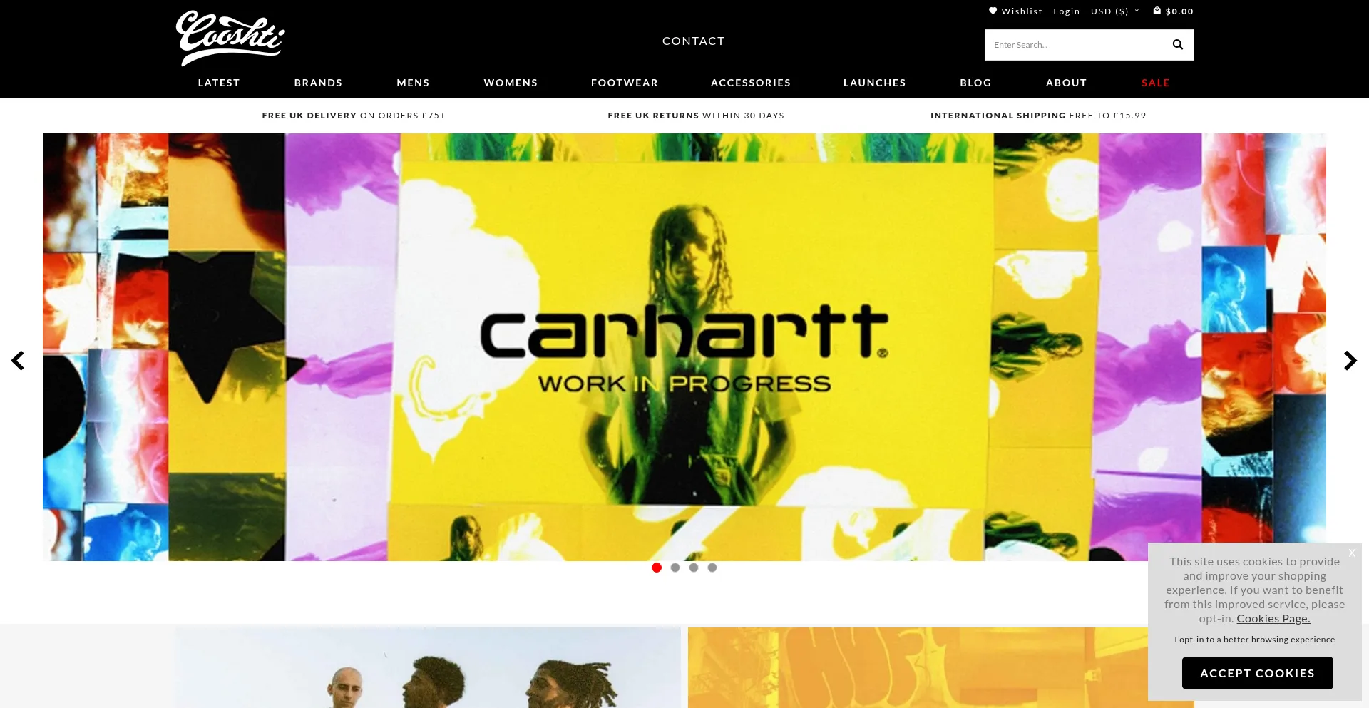 Website screenshot of Cooshti.com