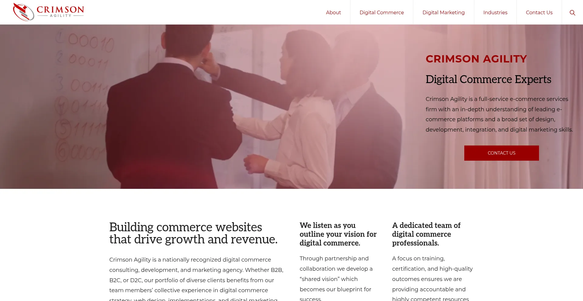 Website screenshot of Crimsonagility.us