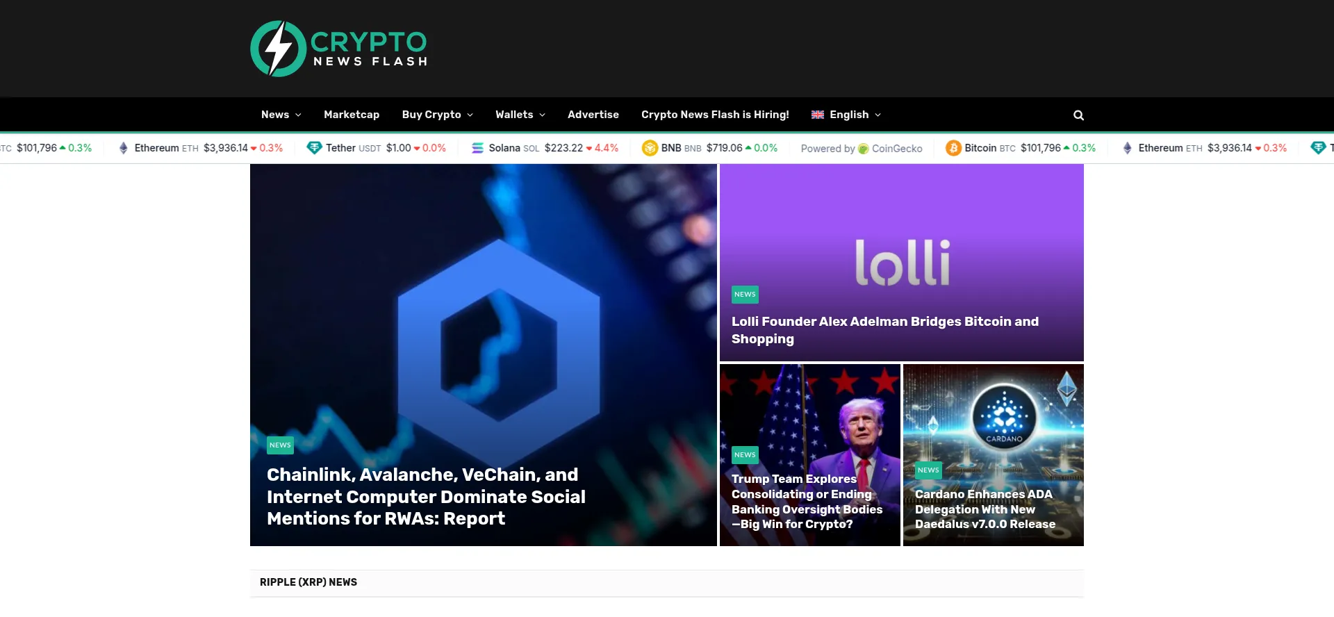 Crypto-news-flash.com