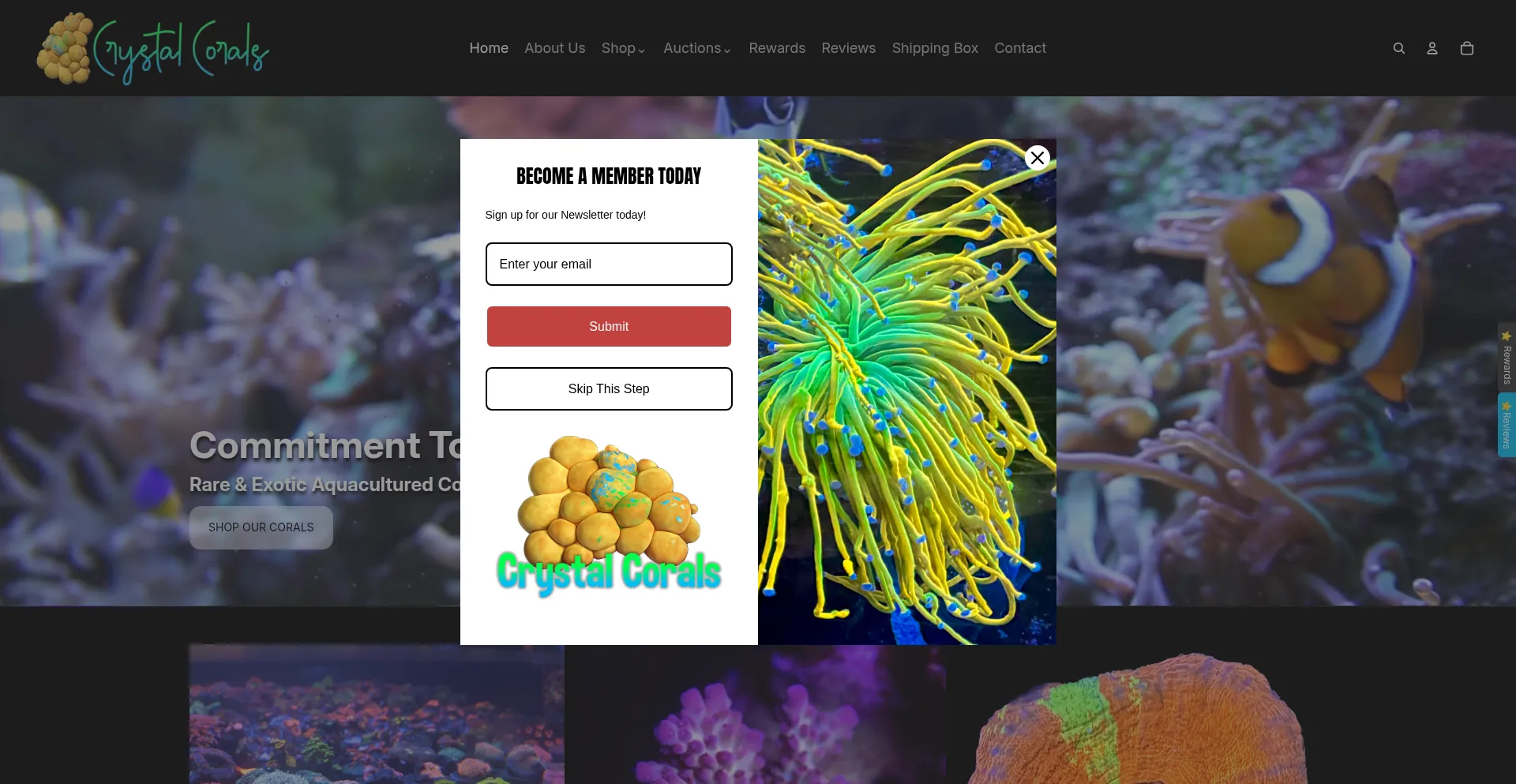 Crystalcorals.com