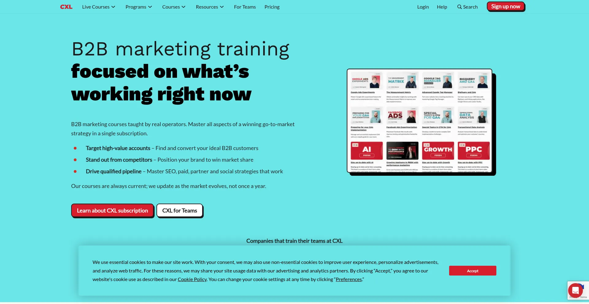 Website screenshot of Cxl.com
