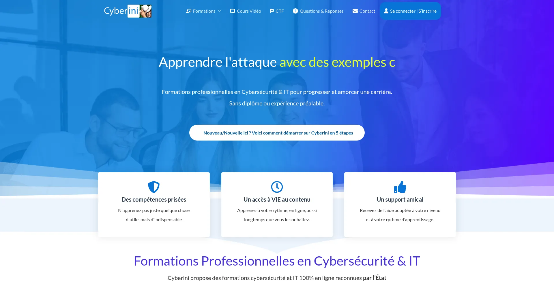 Cyberini.com Screenshot