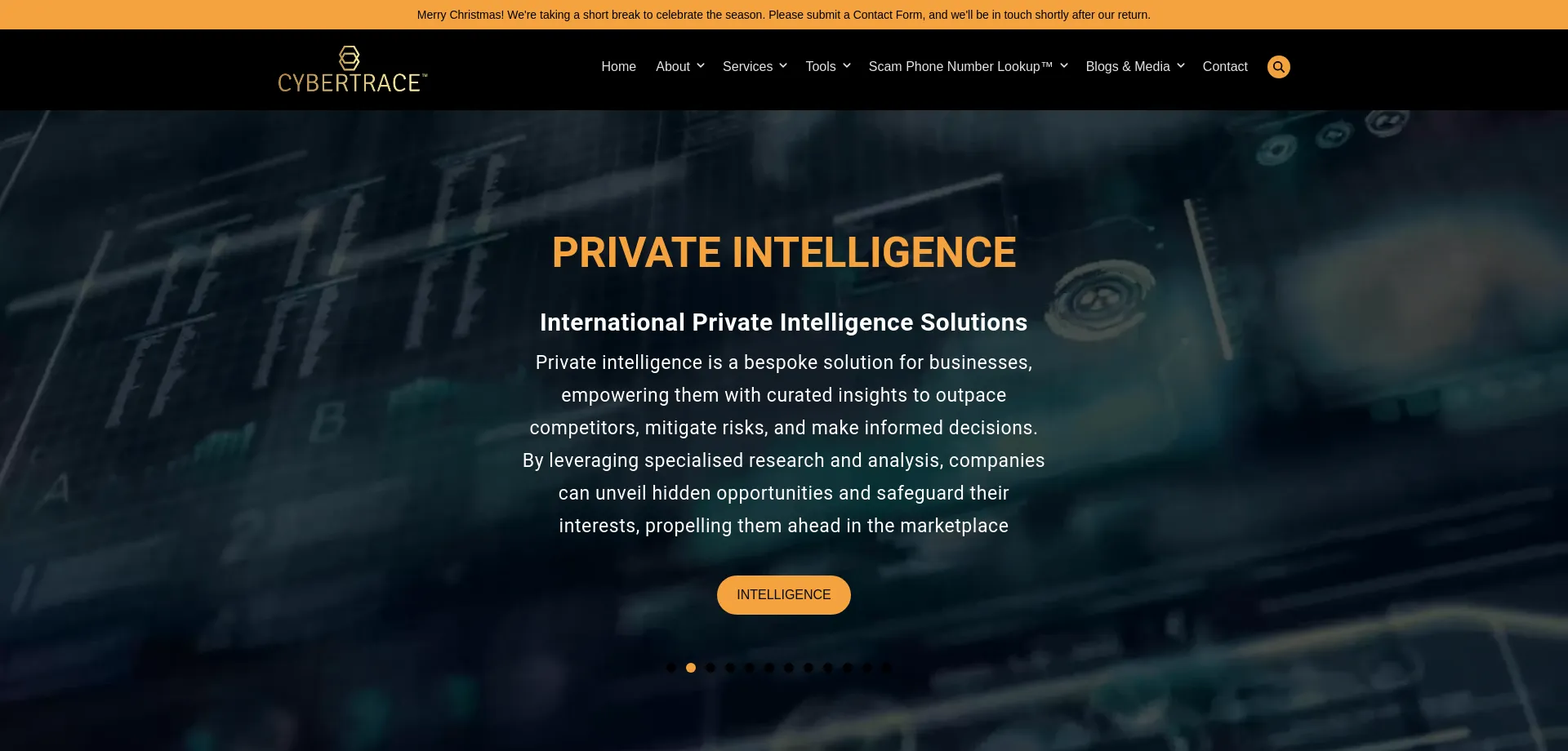 Website screenshot of Cybertrace.com.au