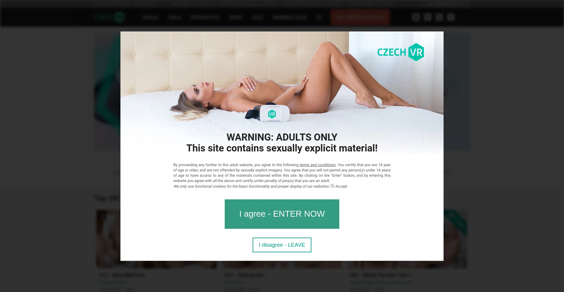 Website screenshot of Czechvr.com