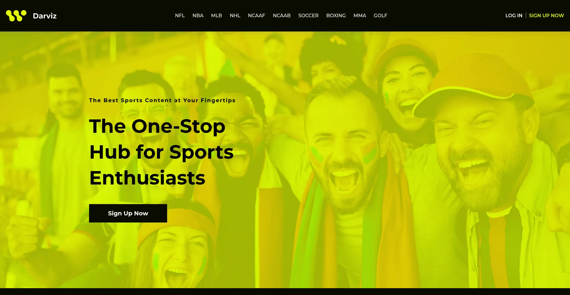 Website screenshot of Darviz.com