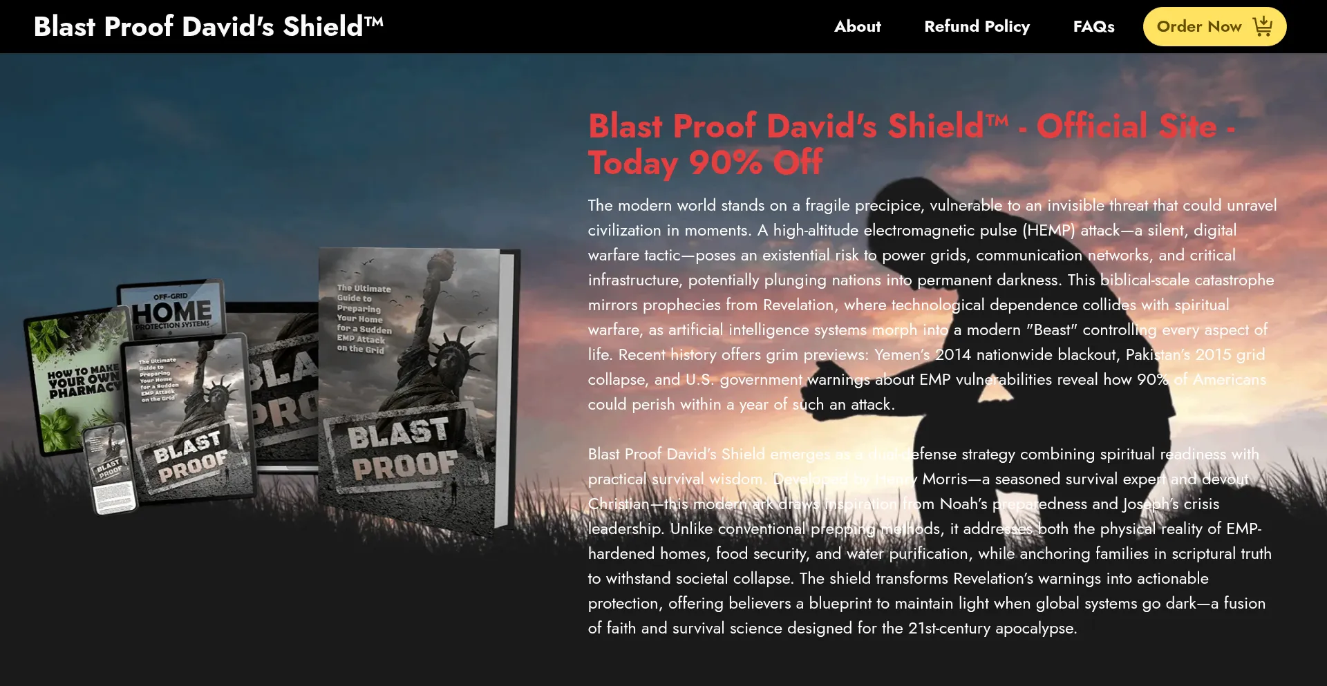 Website screenshot of Davidssheild.com