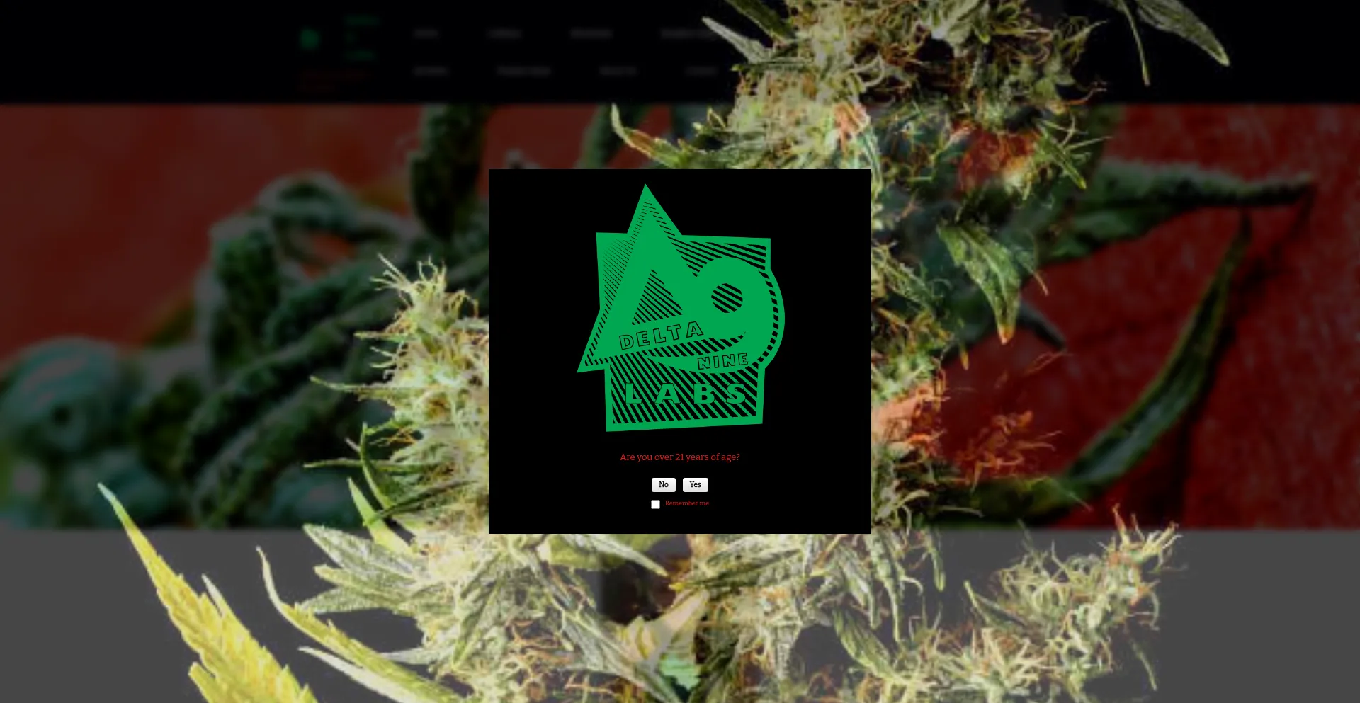 Website screenshot of Delta9labs.com