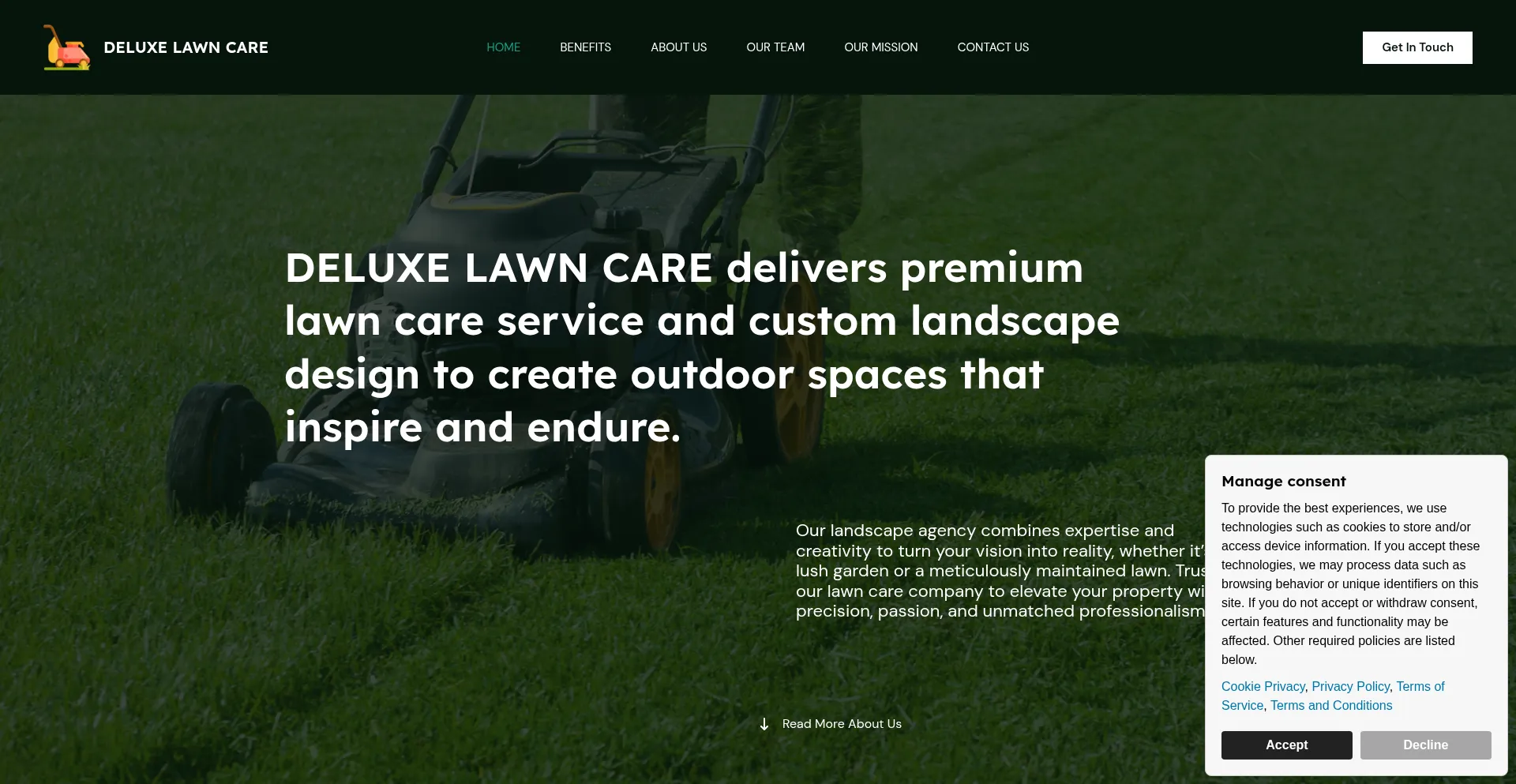 Deluxelawn-care.com