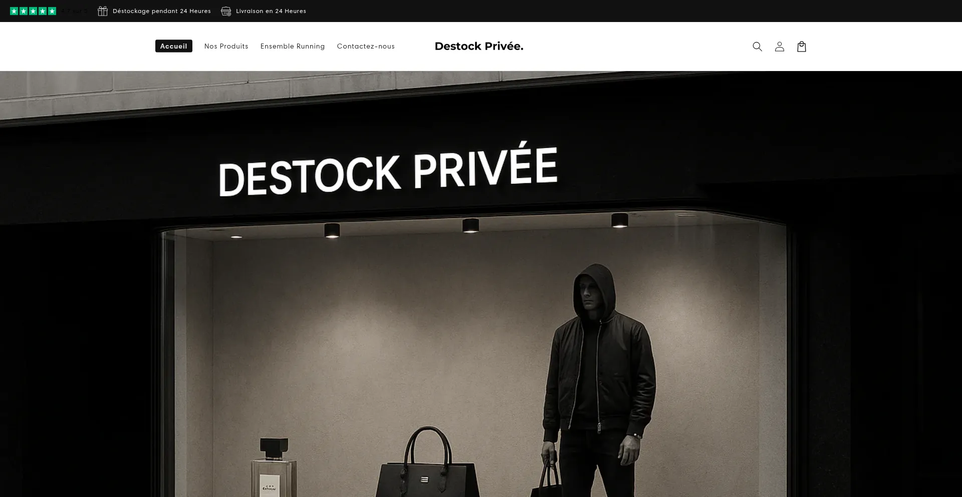 Website screenshot of Destockprivee-france.com